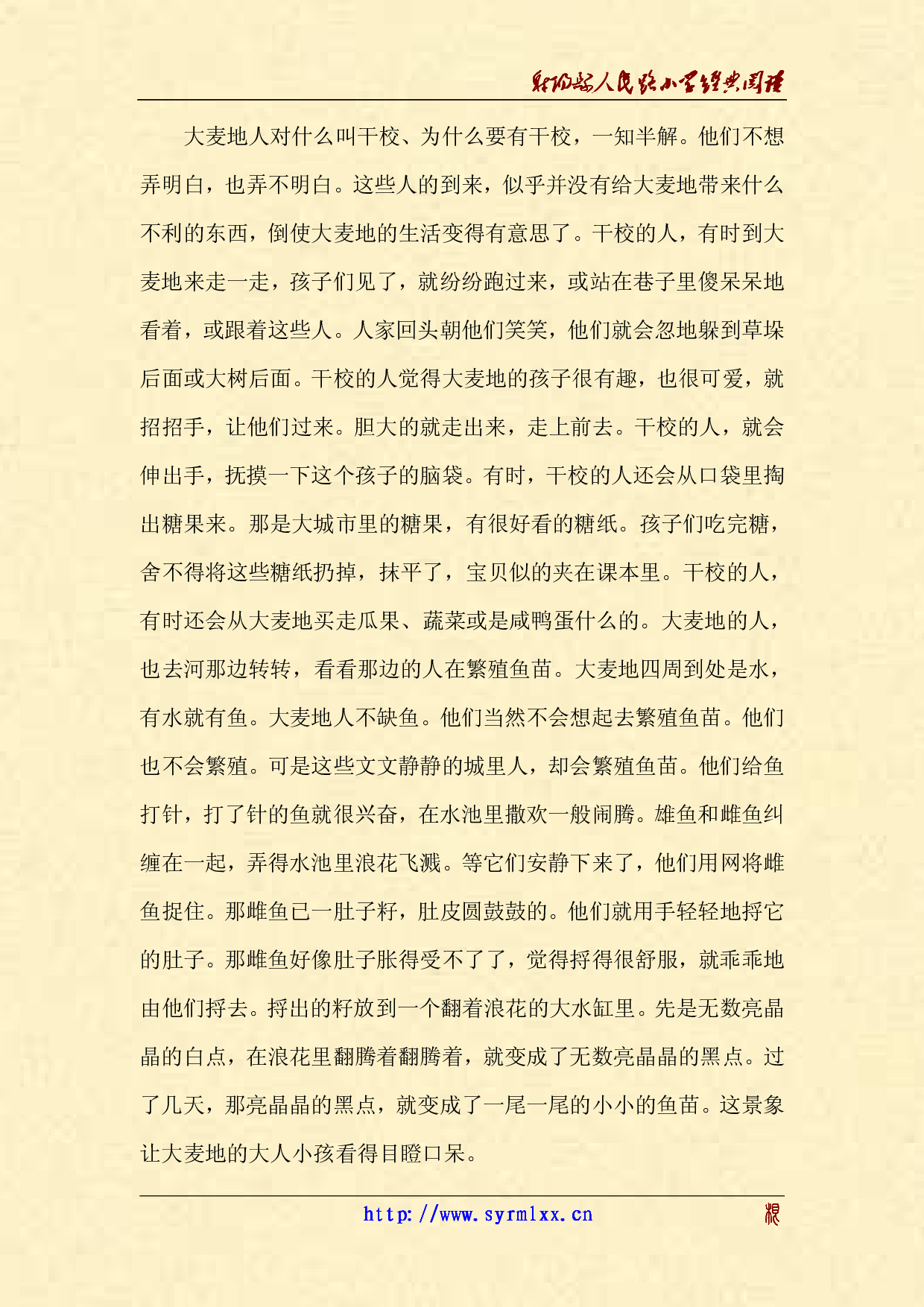 青铜葵花.pdf 第5页