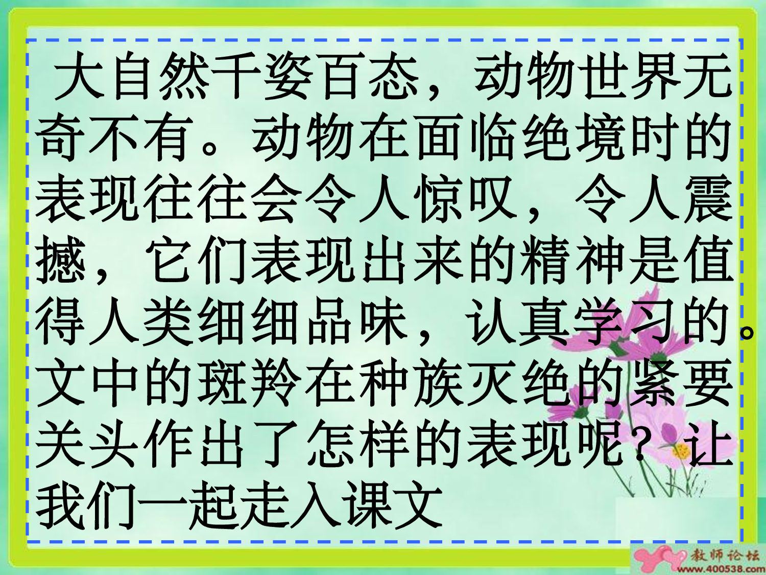 斑羚飞渡.pdf 第2页