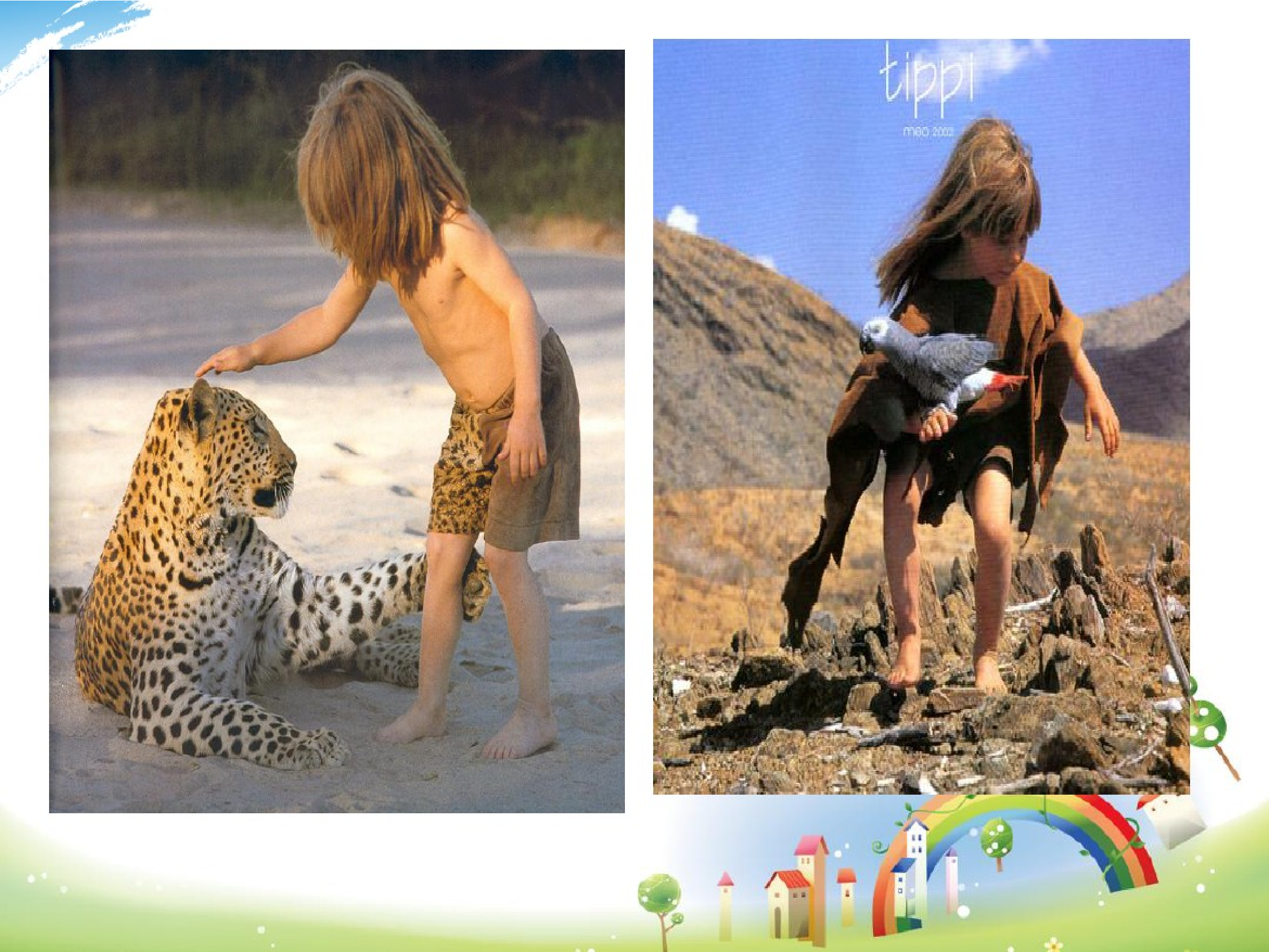 我的野生动物朋友.pdf 第4页