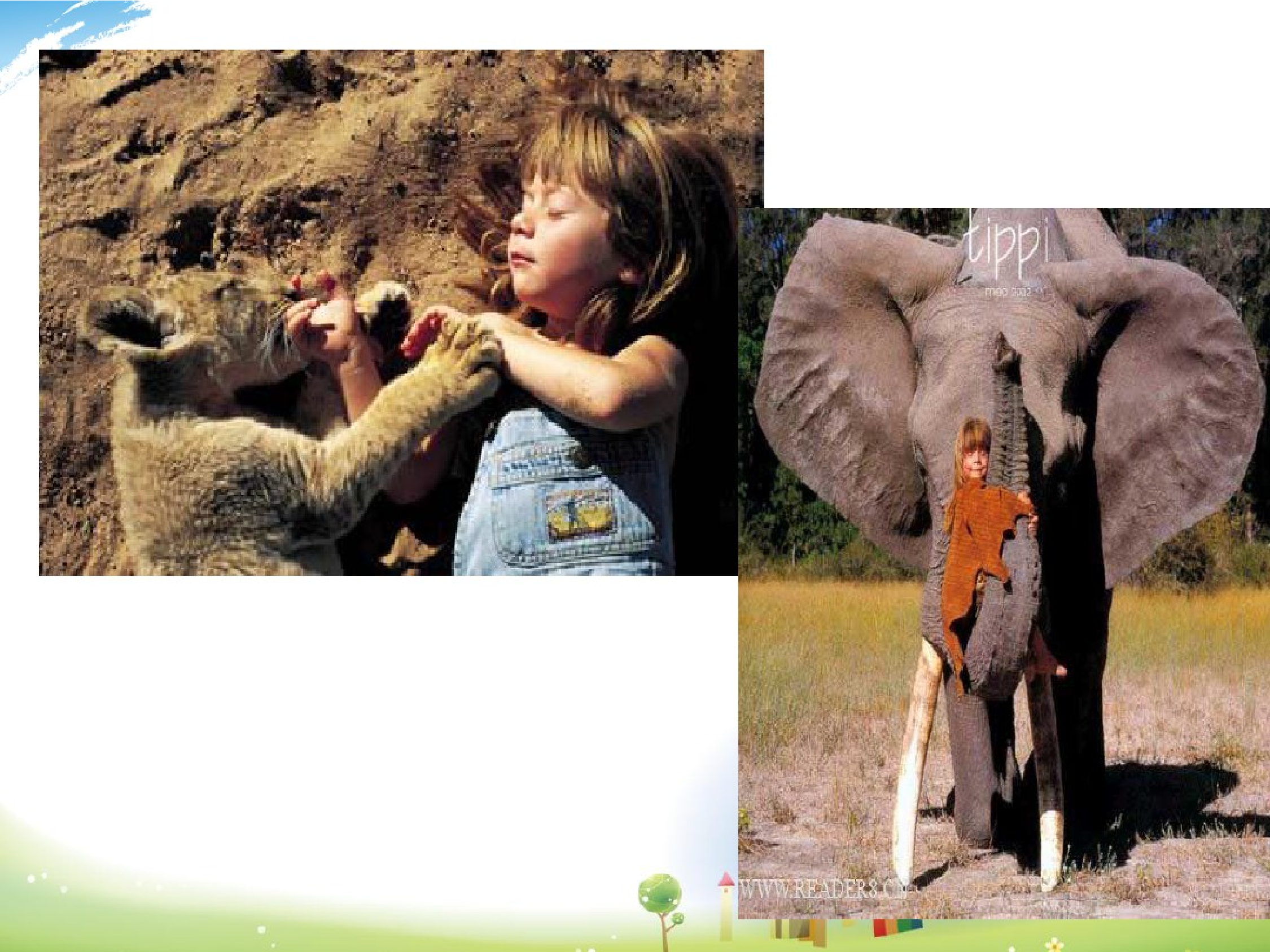 我的野生动物朋友.pdf 第5页