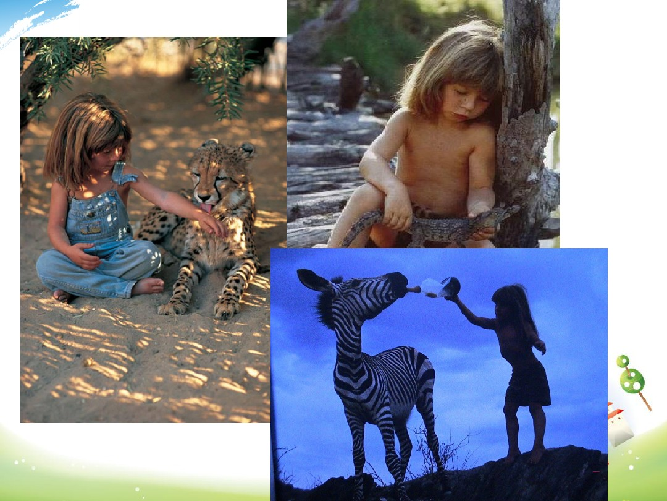 我的野生动物朋友.pdf 第6页