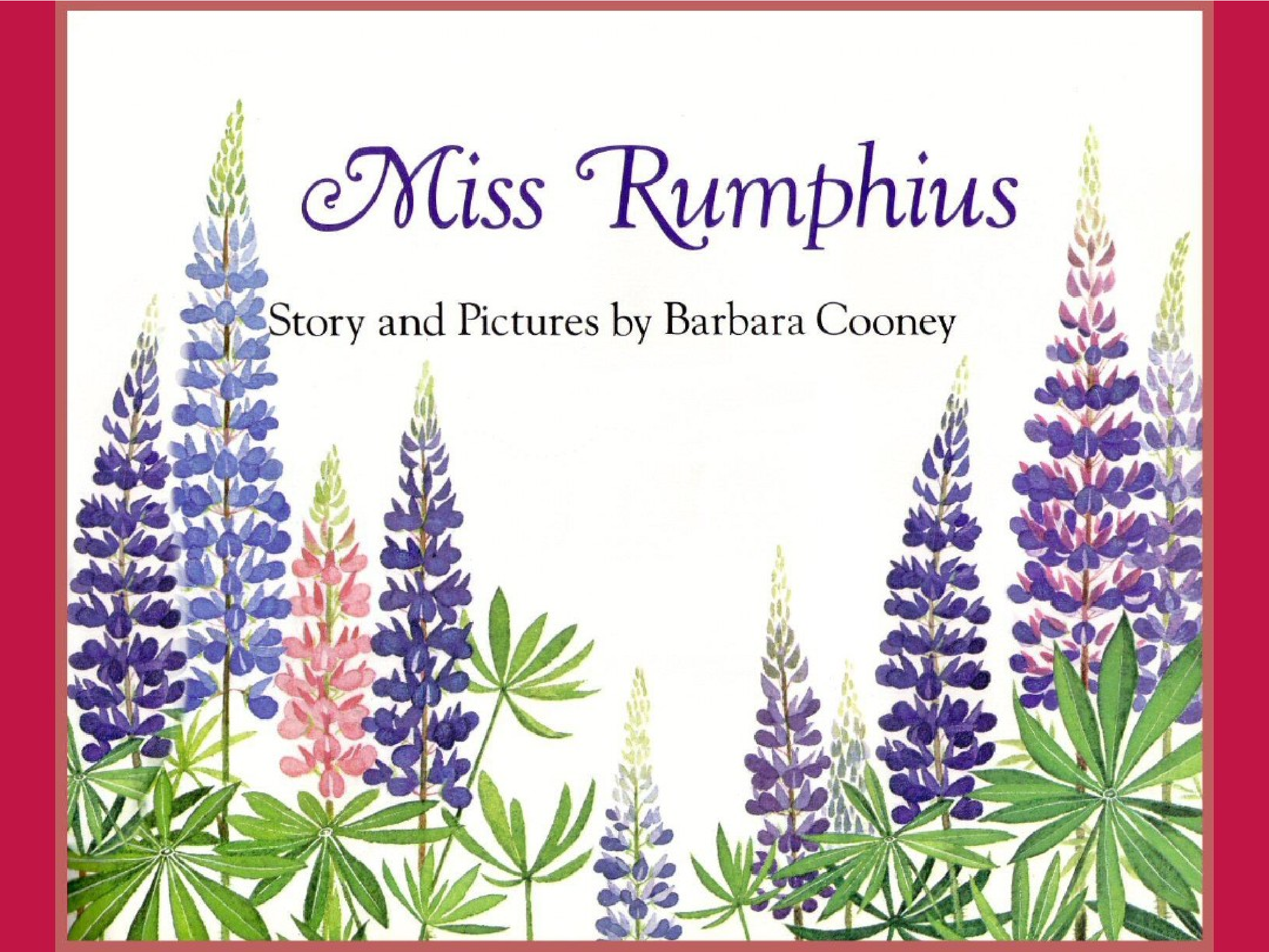 花婆婆.pdf 第2页