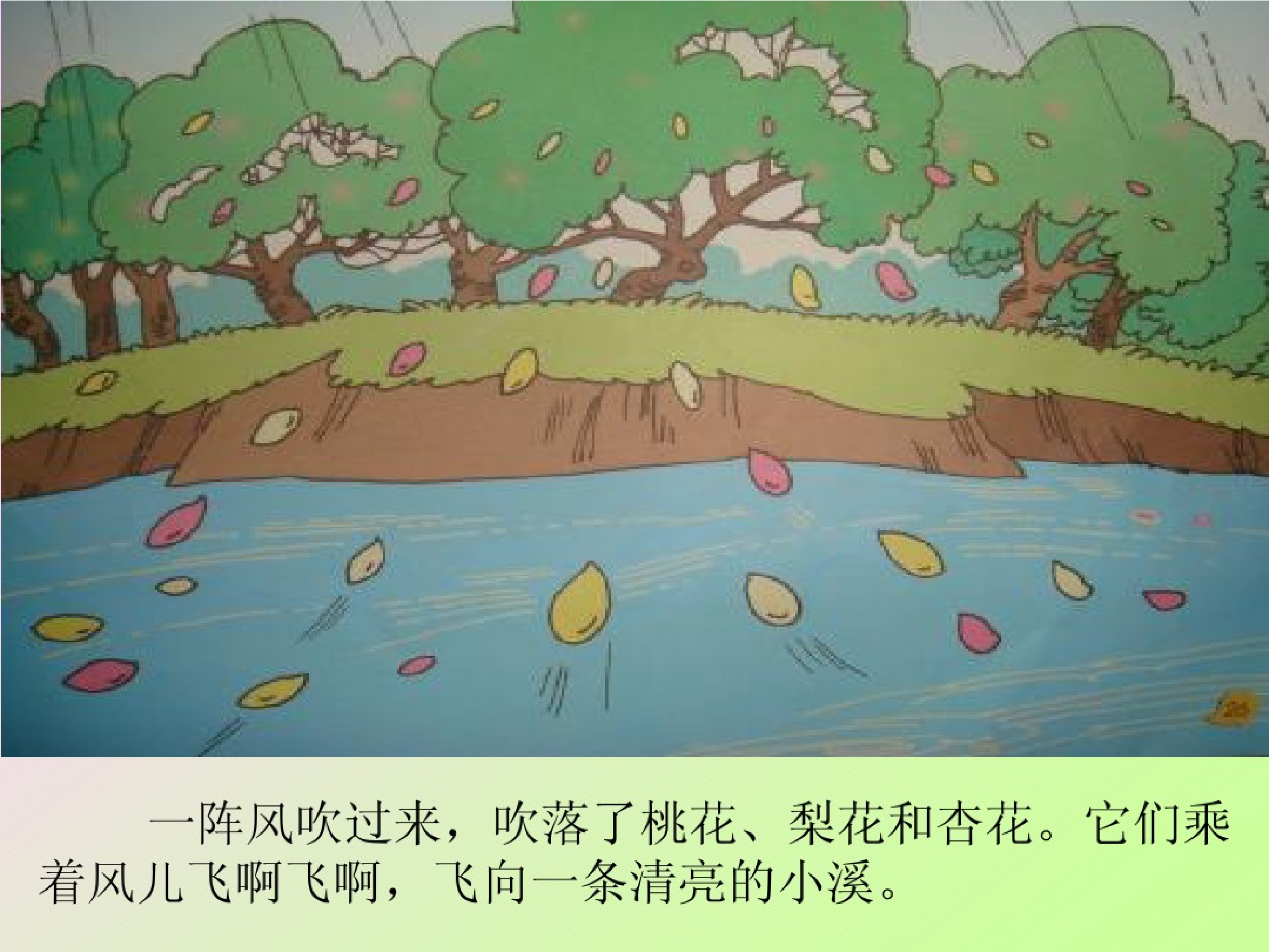 花瓣儿鱼.pdf 第3页