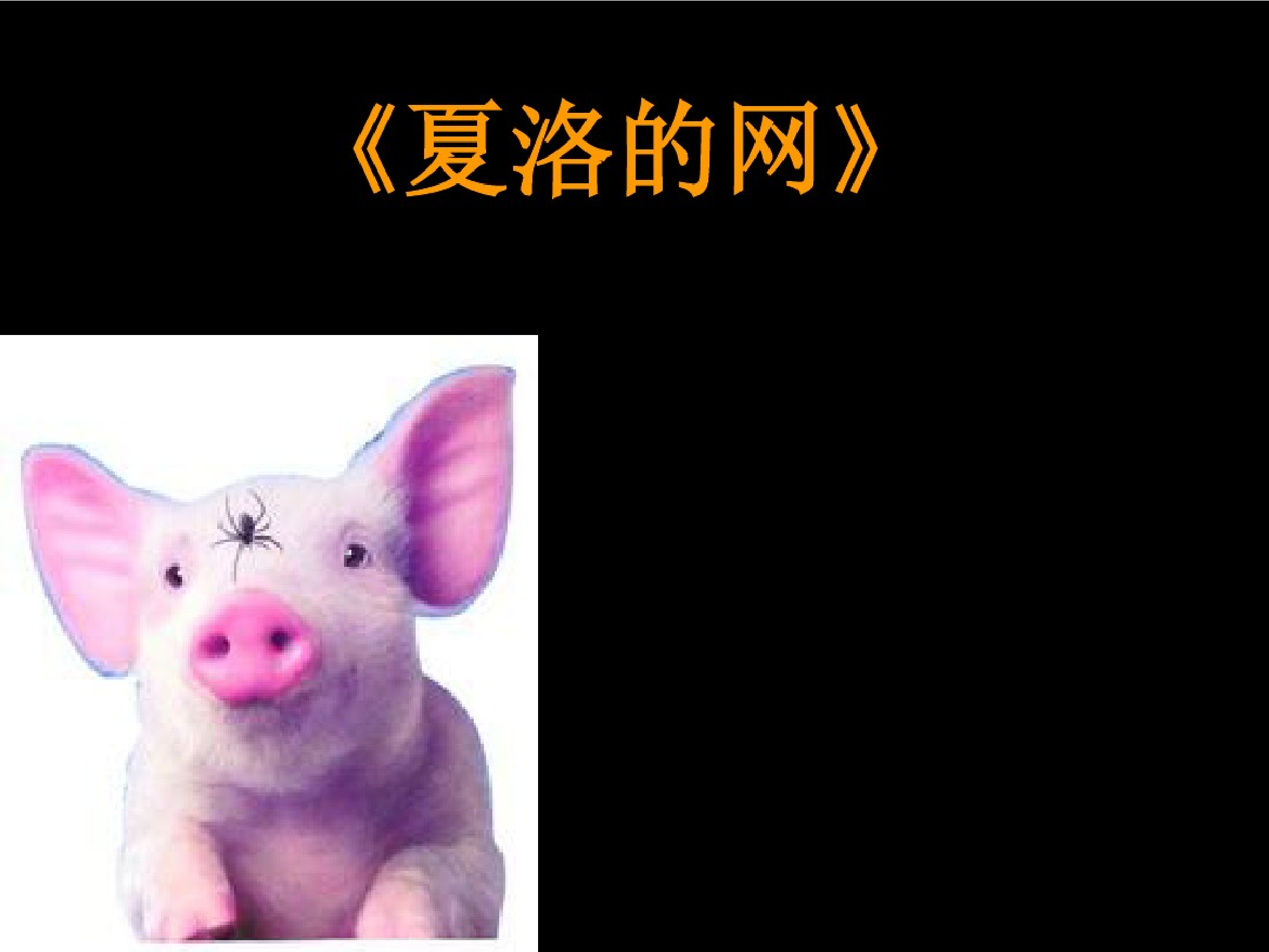 夏洛的网.pdf 第1页