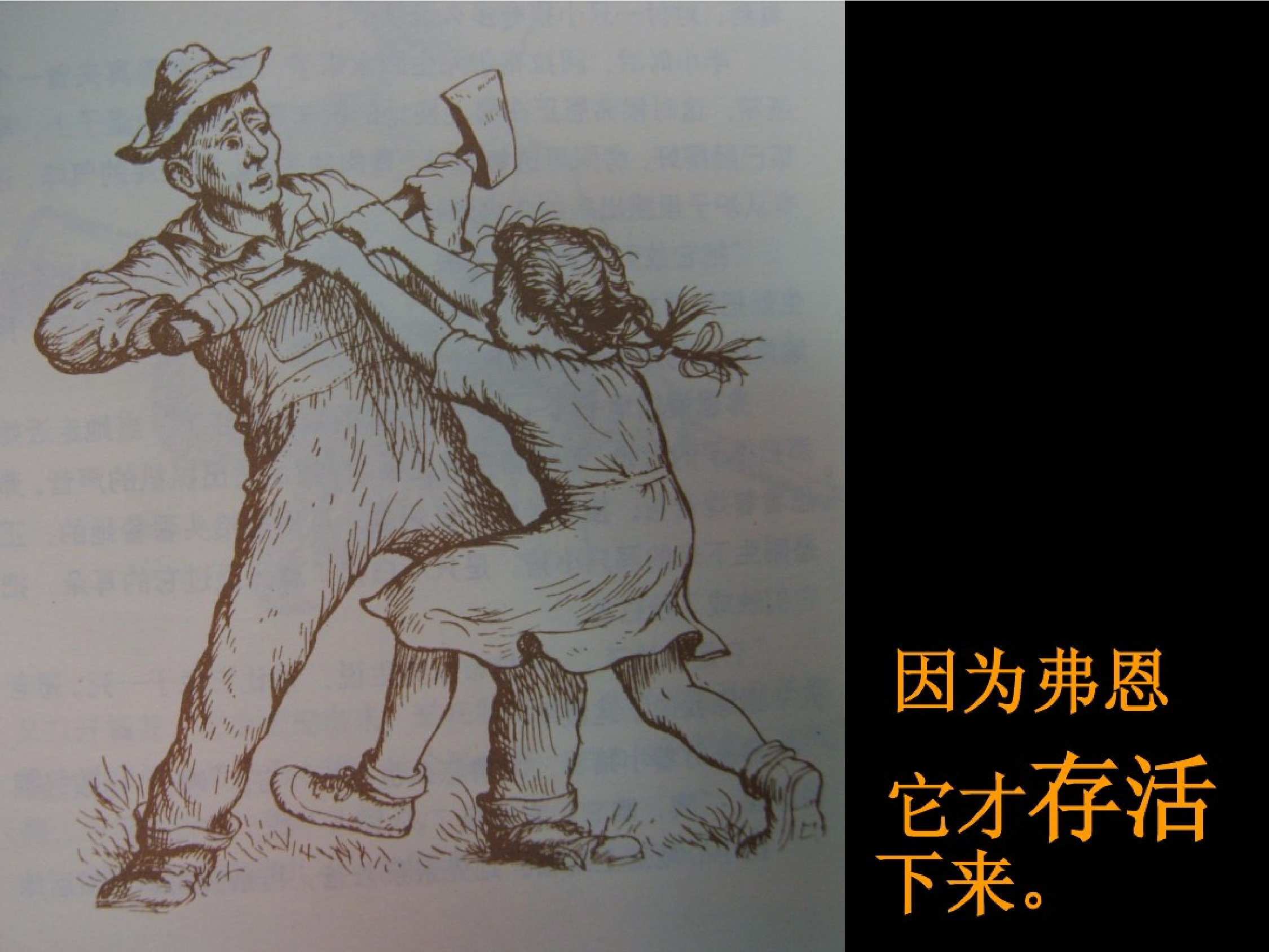 夏洛的网.pdf 第3页