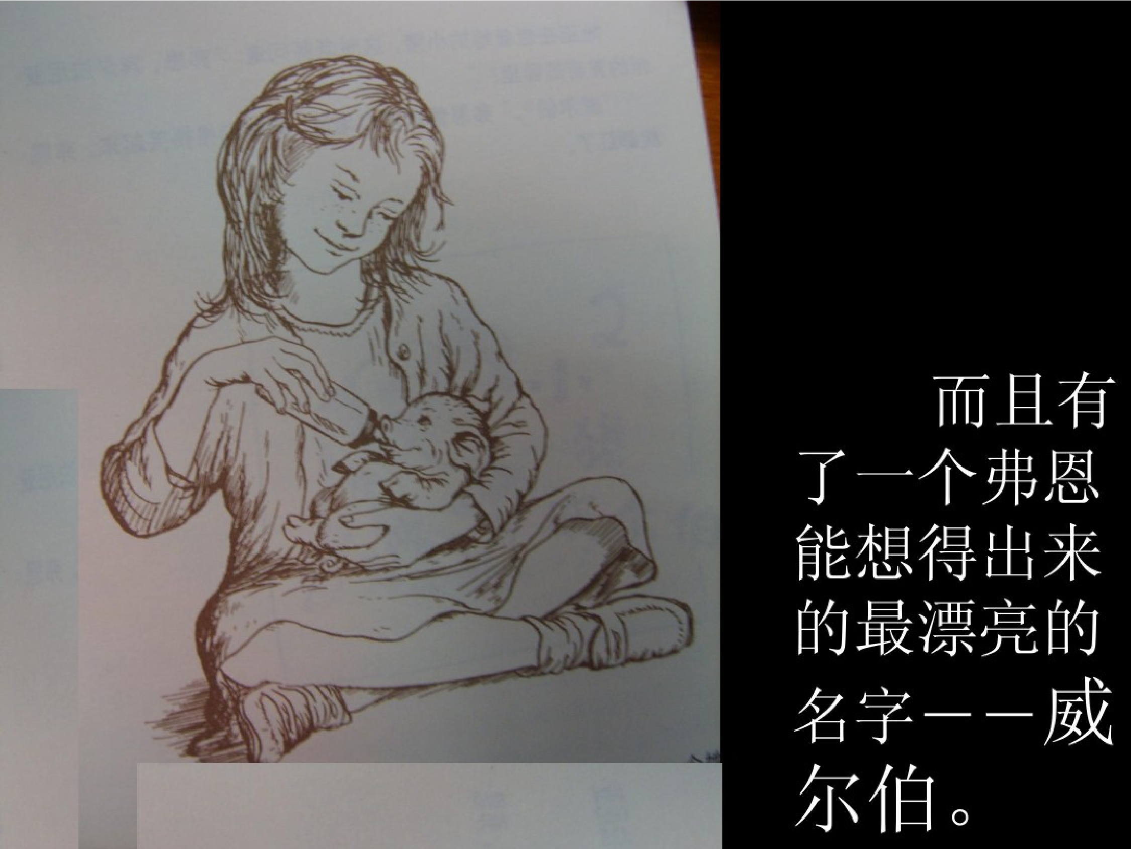 夏洛的网.pdf 第4页