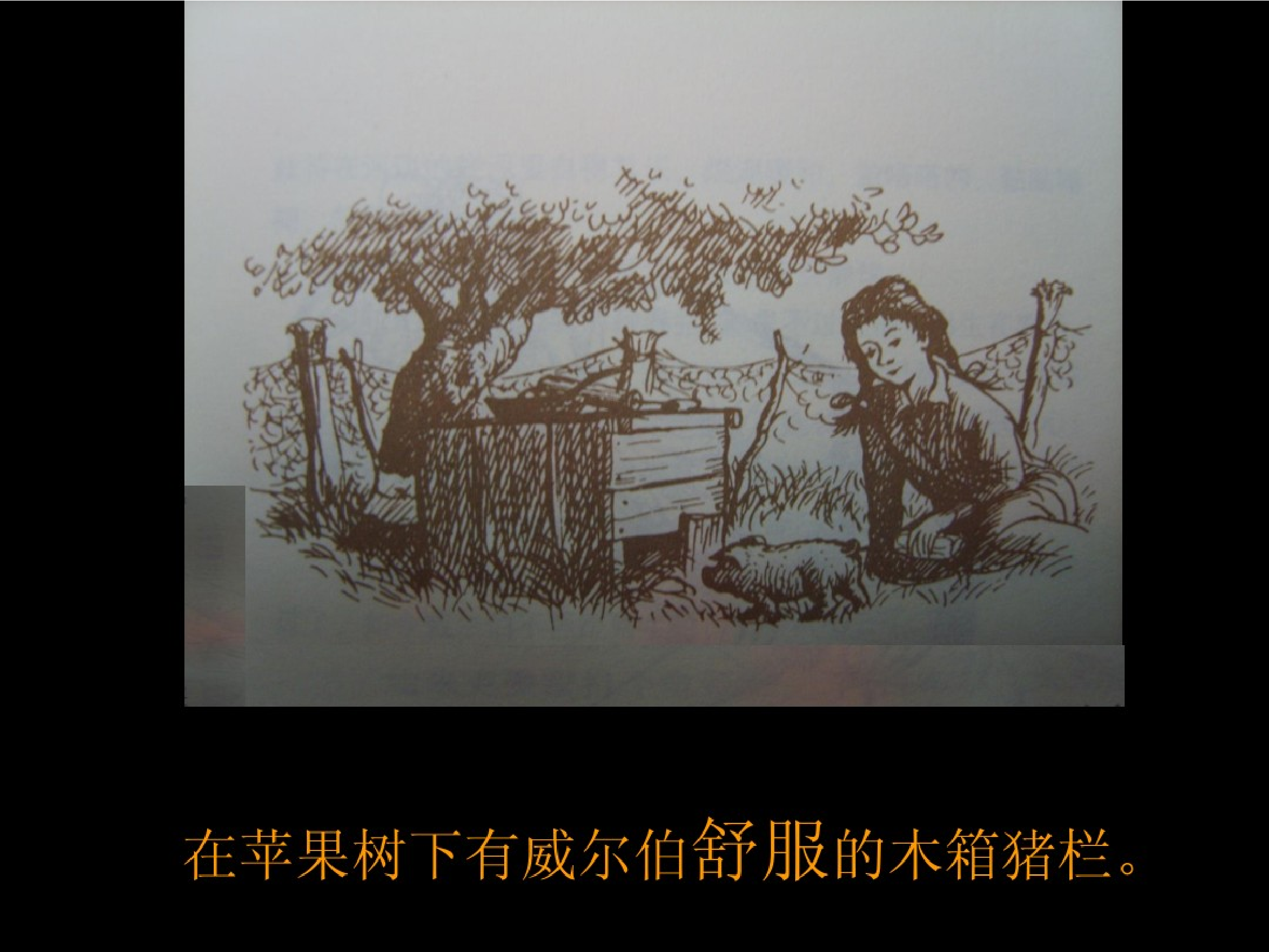 夏洛的网.pdf 第5页