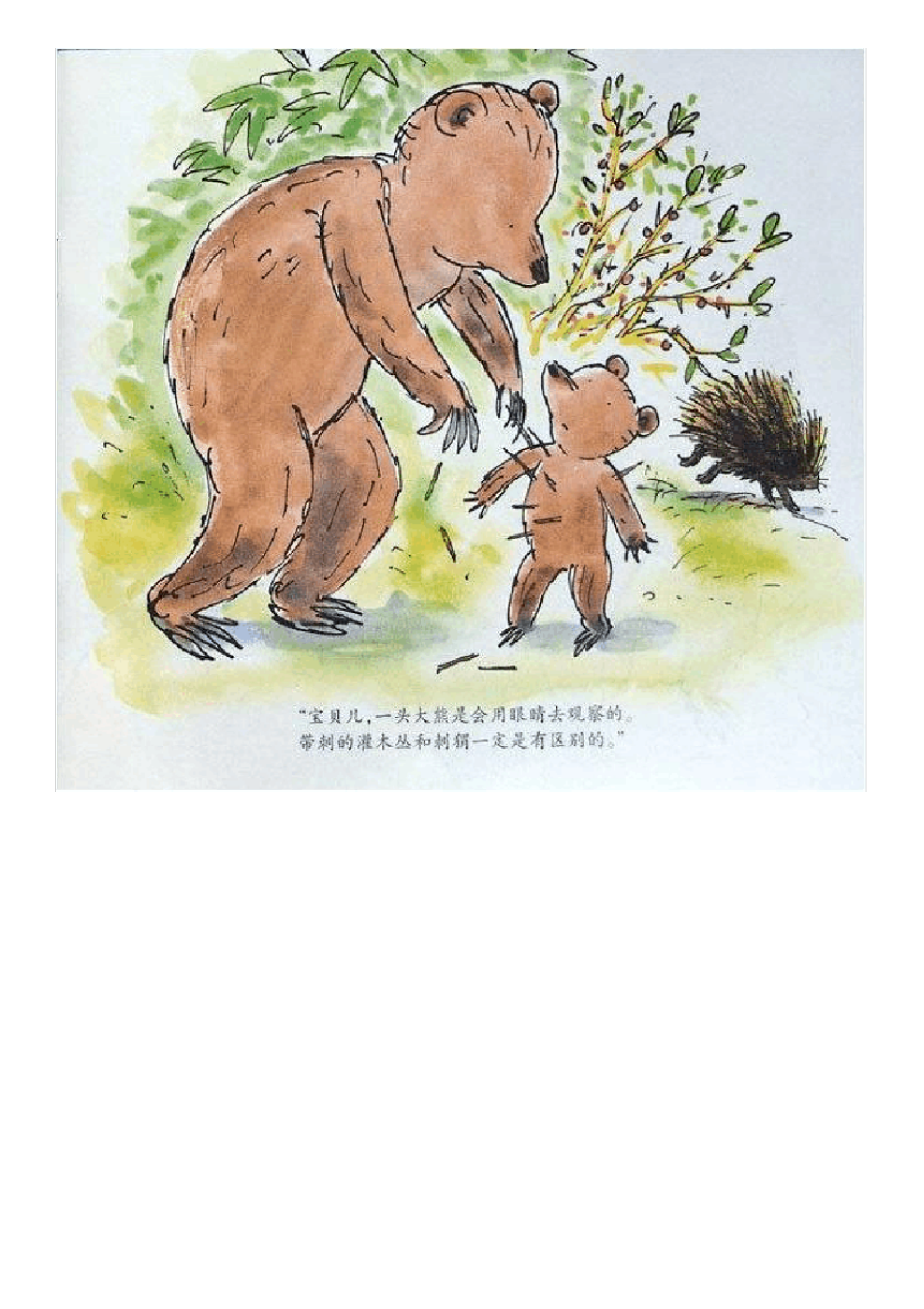 小熊和最好的爸爸.pdf 第4页