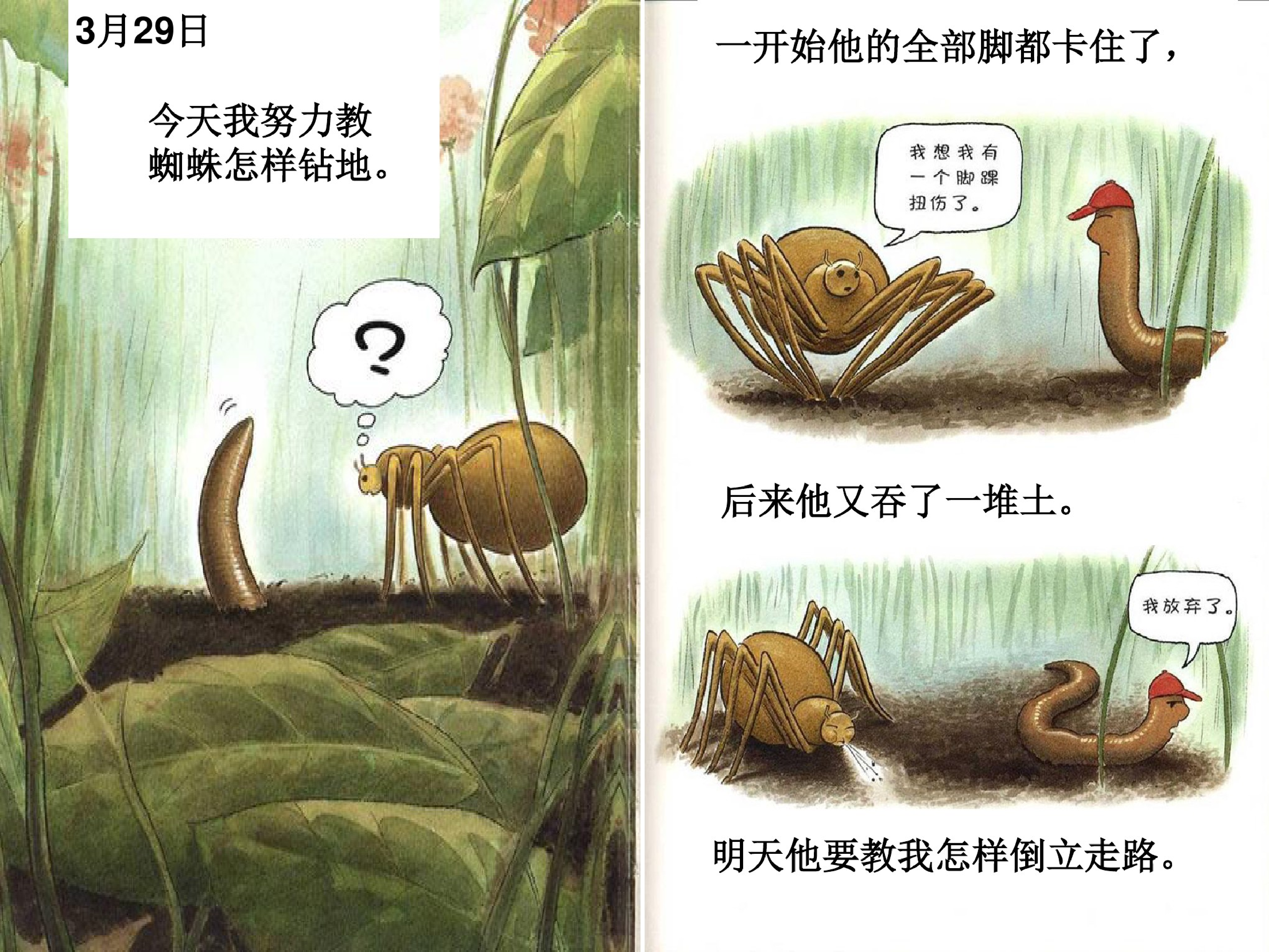 蚯蚓的日记.pdf 第5页