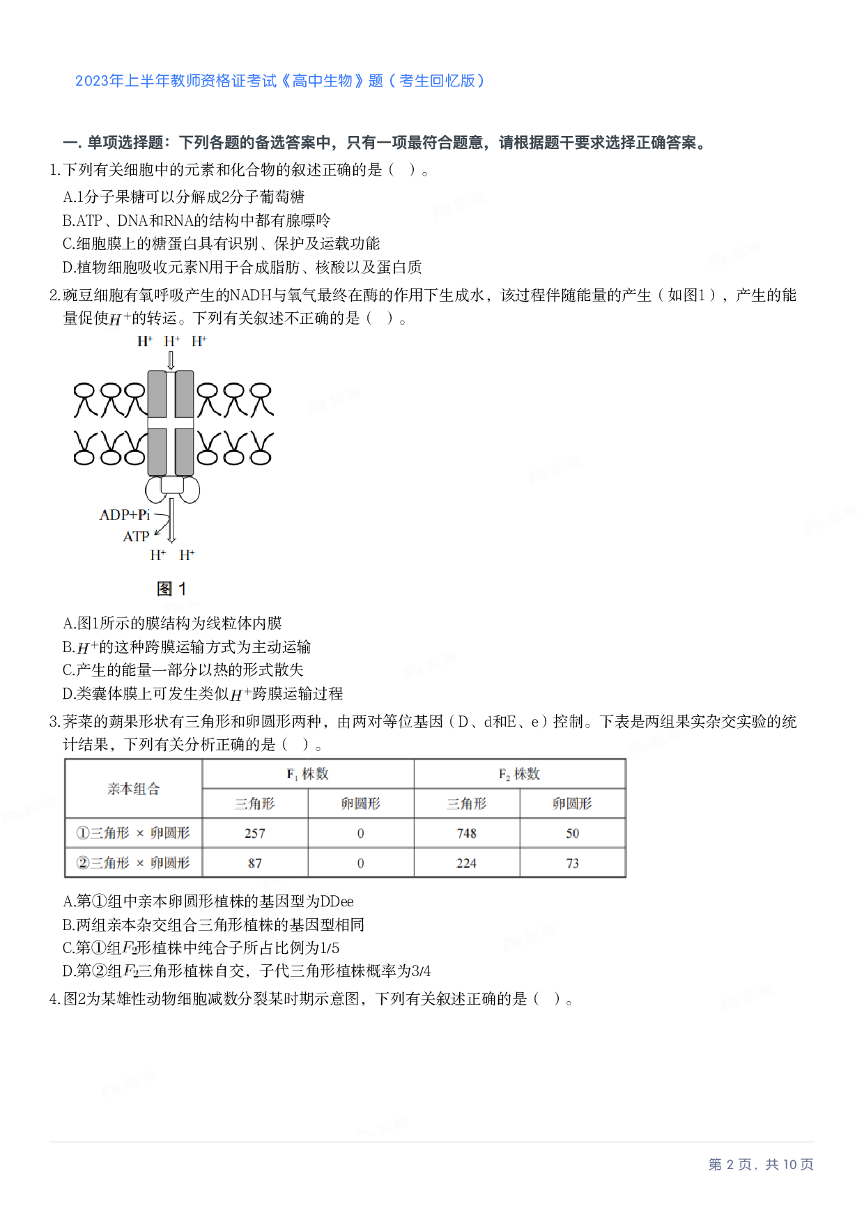 2023年上半年高中《生物》教师资格证笔试真题及答案解析.pdf 第2页