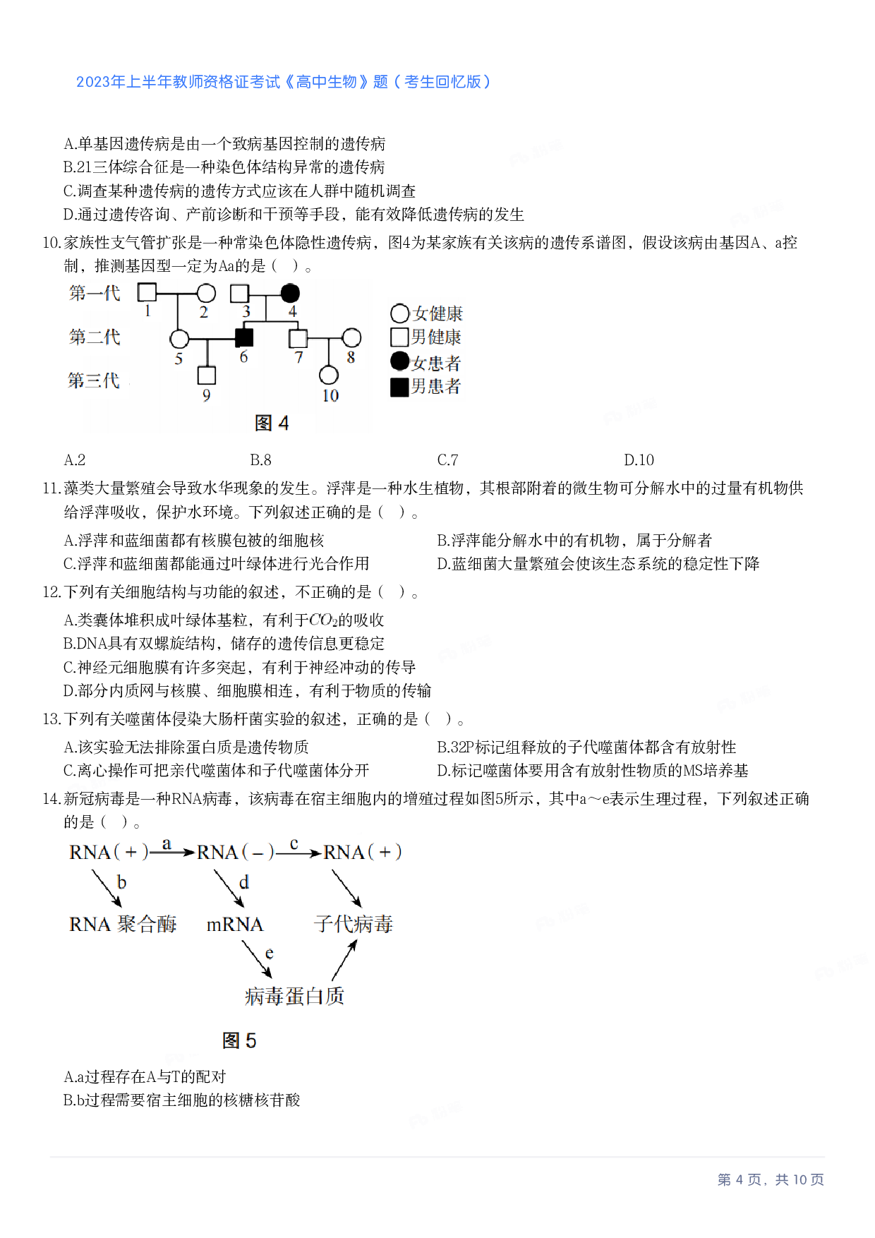 2023年上半年高中《生物》教师资格证笔试真题及答案解析.pdf 第4页
