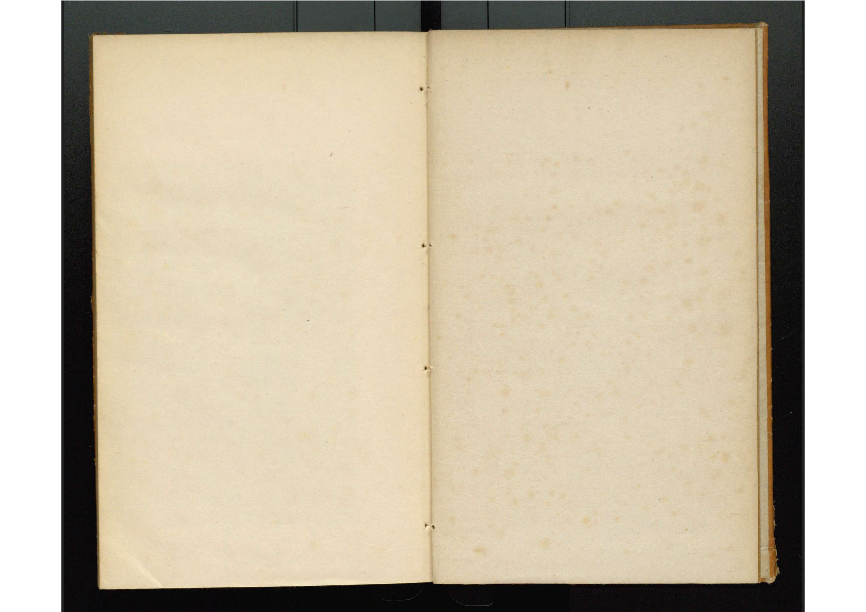 唐代写本抱朴子.pdf 第3页