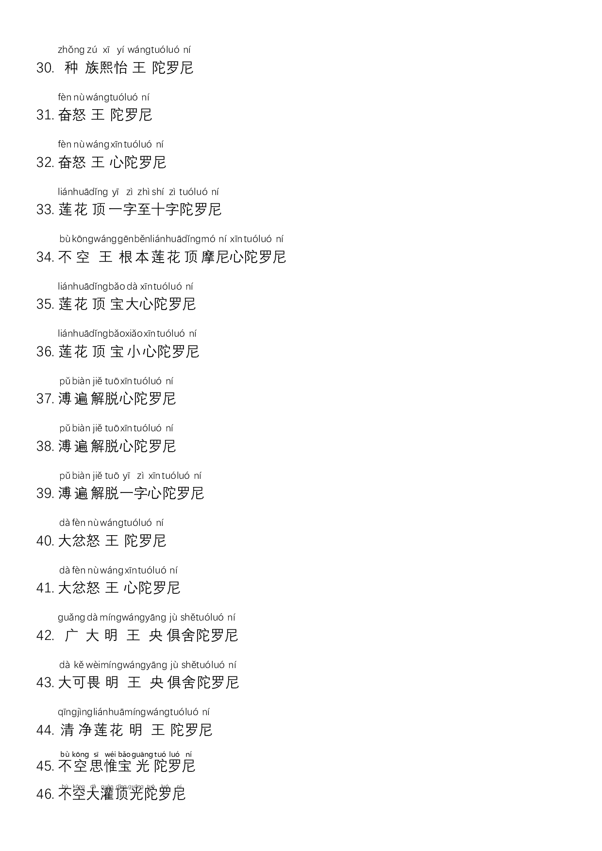 1_不空罥索49咒阵-注音版.pdf 第3页