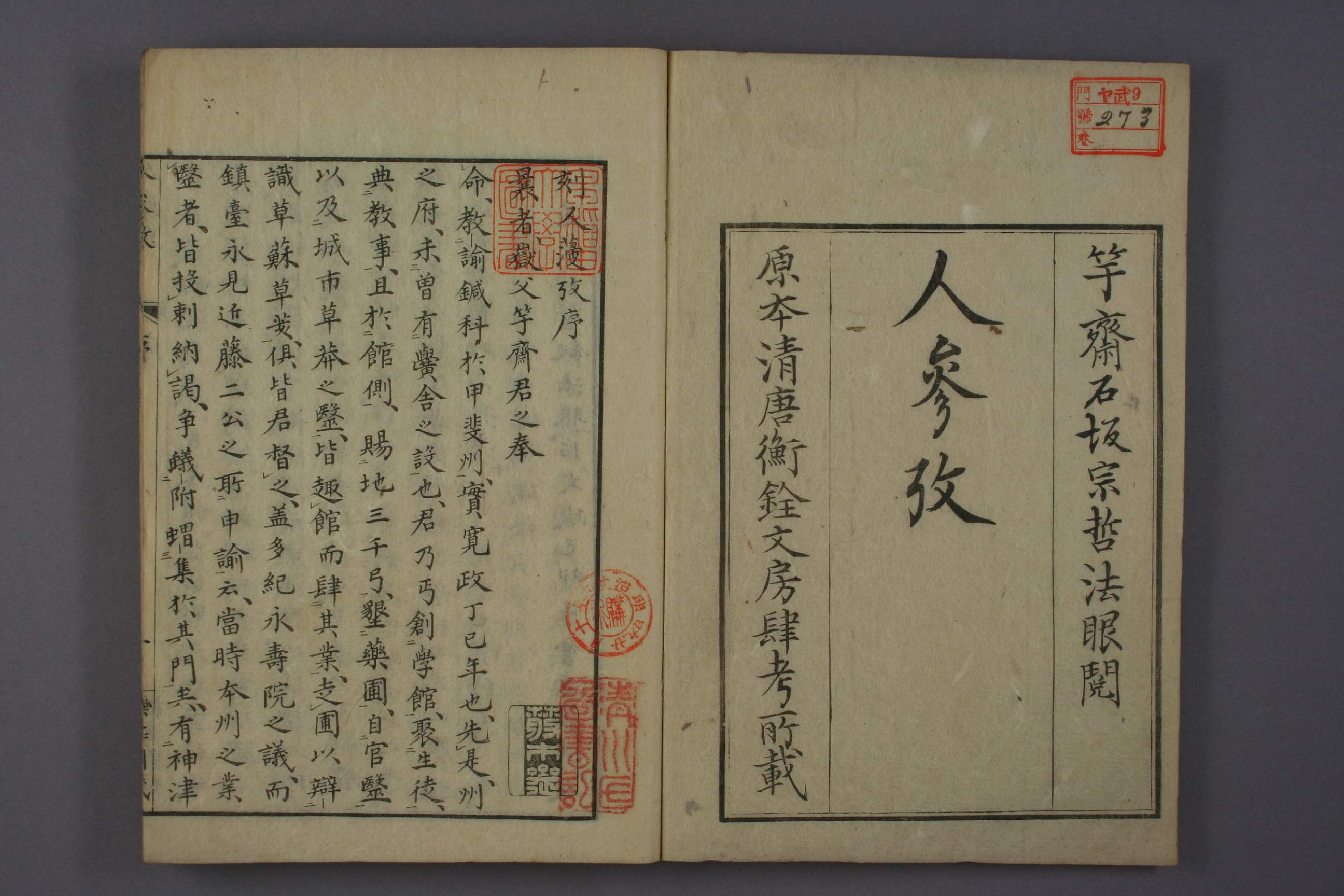 人参考.pdf 第2页