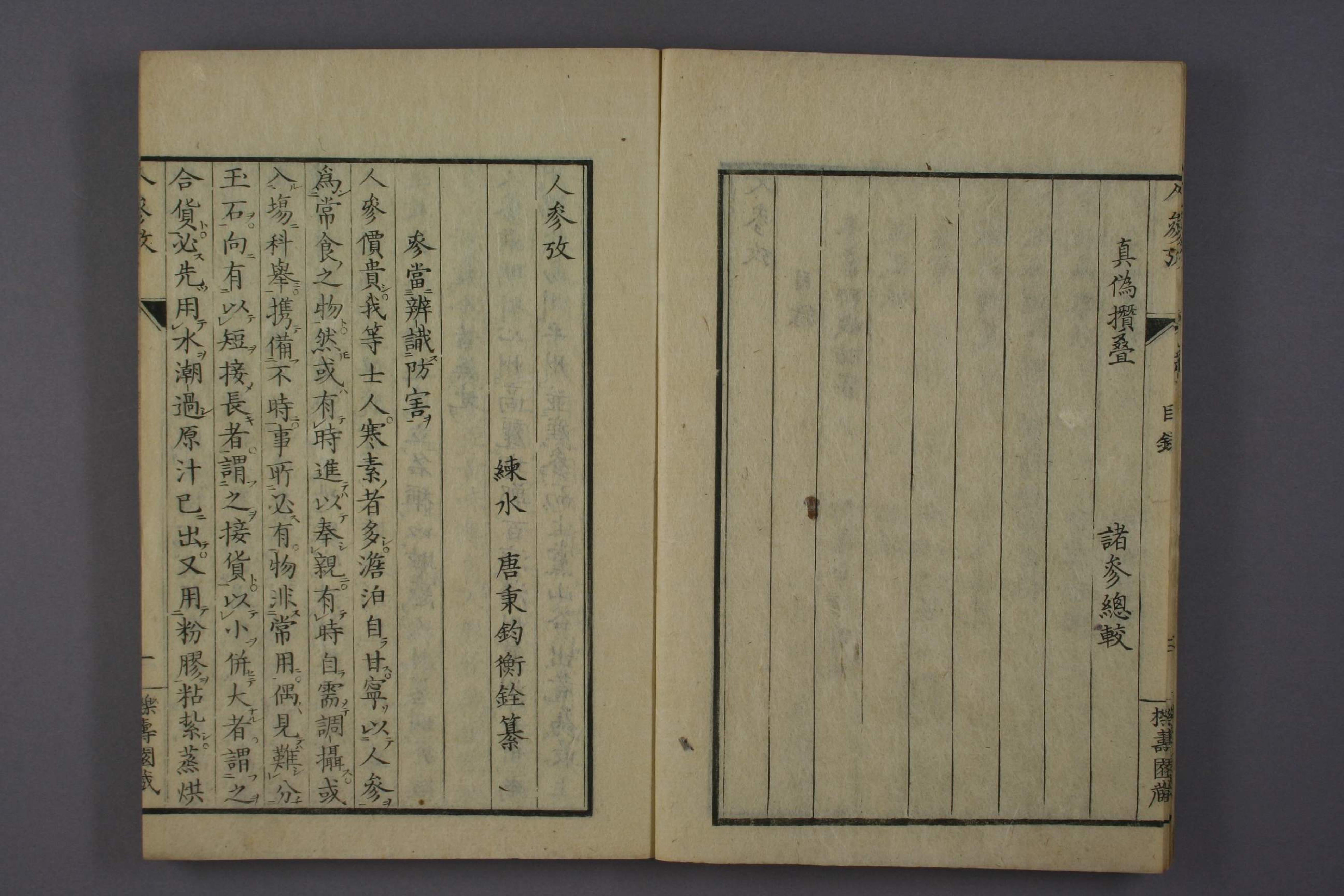 人参考.pdf 第6页