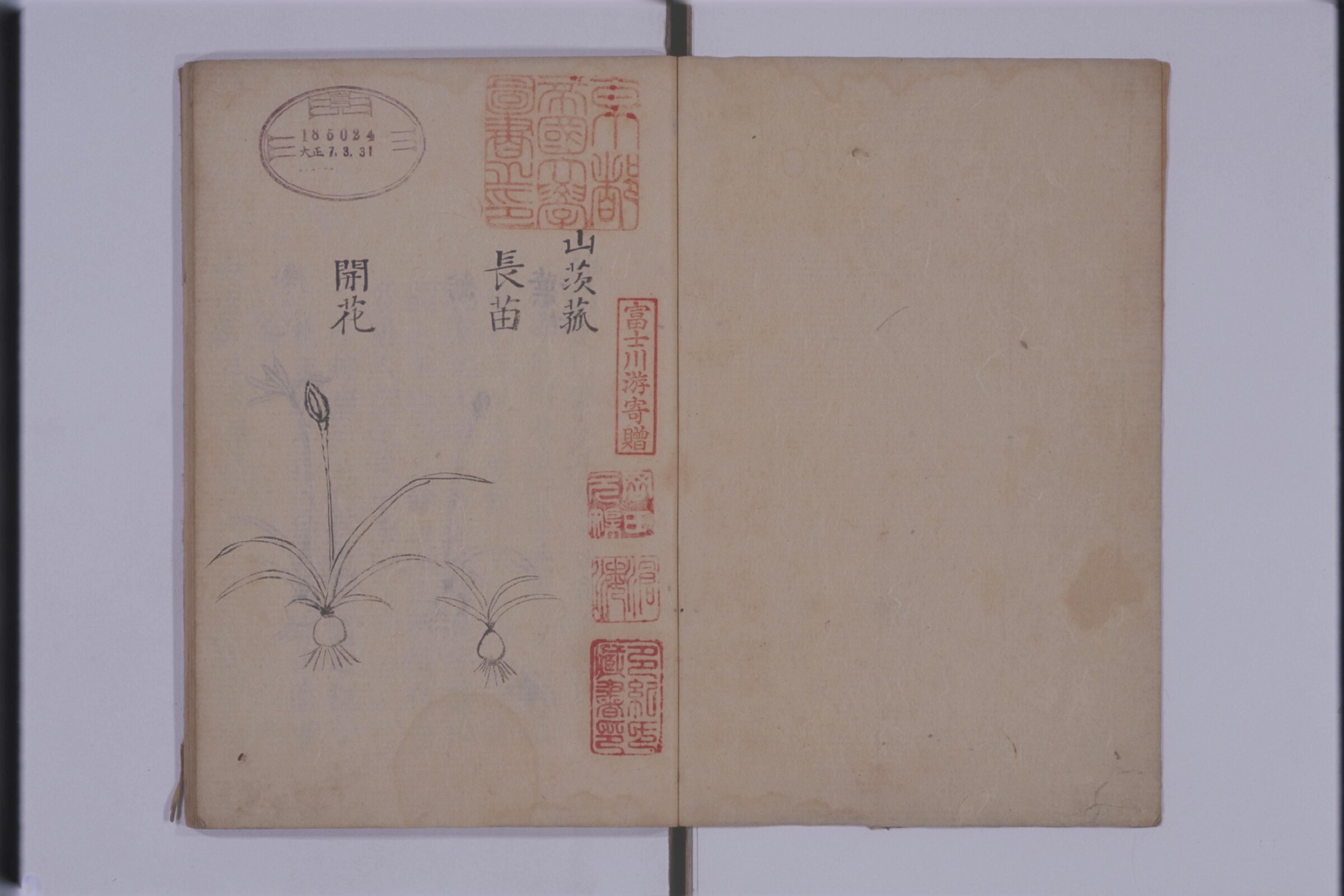 太乙紫金丹方.pdf 第2页