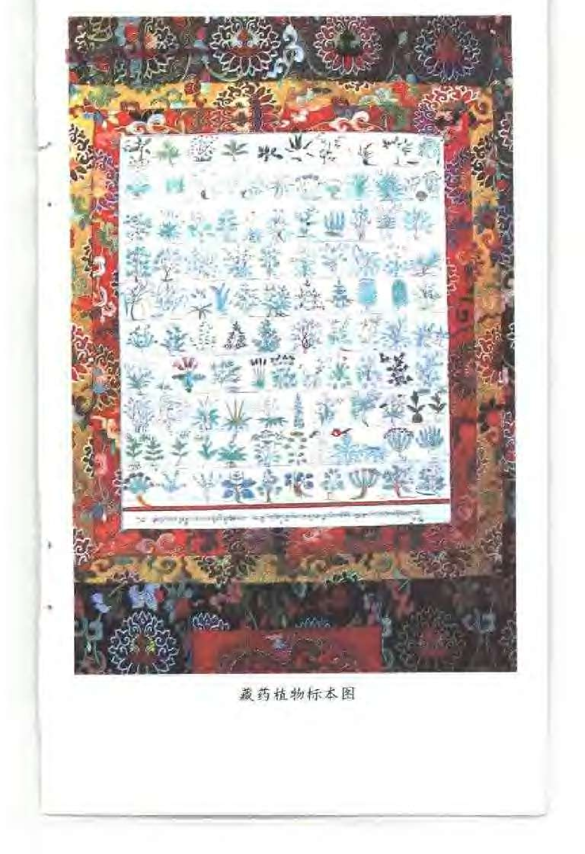 强巴赤烈：中国的藏医+中国藏学出版社+1996年.pdf 第4页