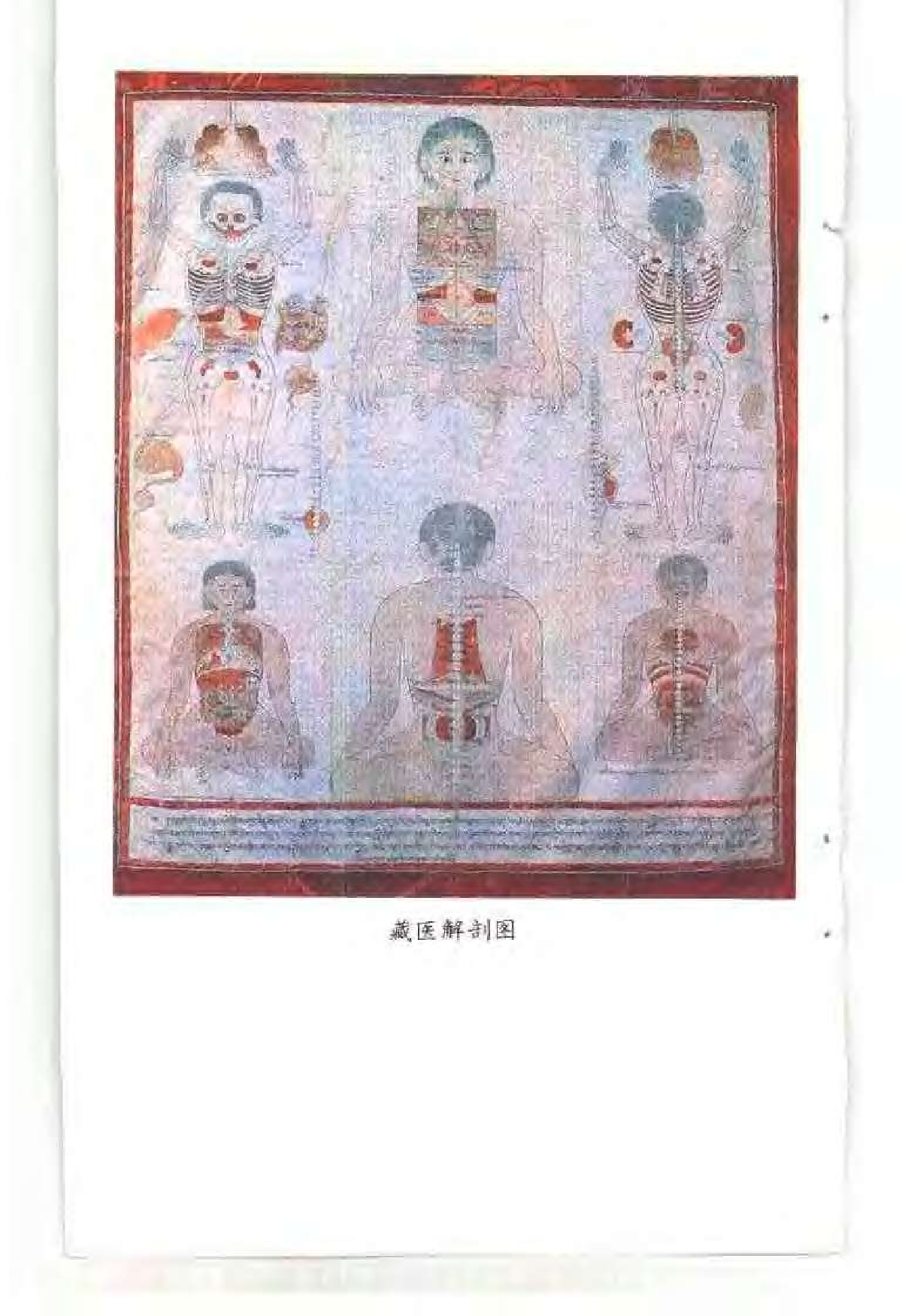 强巴赤烈：中国的藏医+中国藏学出版社+1996年pdf.pdf 第5页