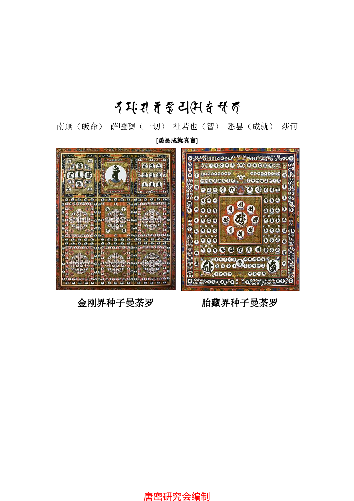 密教行者所需学习之梵文悉昙教程总结.pdf 第1页