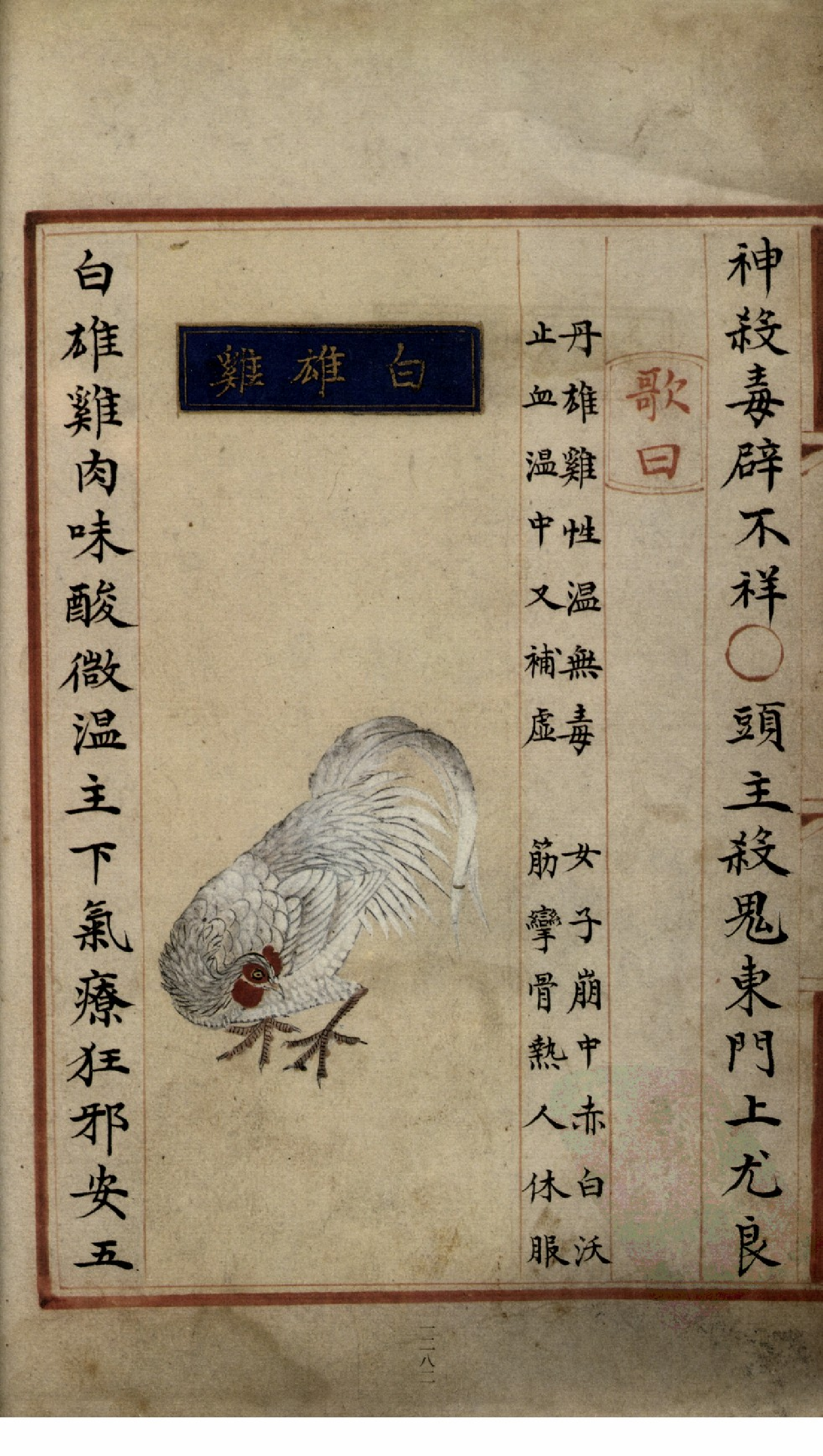 补遗雷公炮制便览（卷10）.pdf 第6页