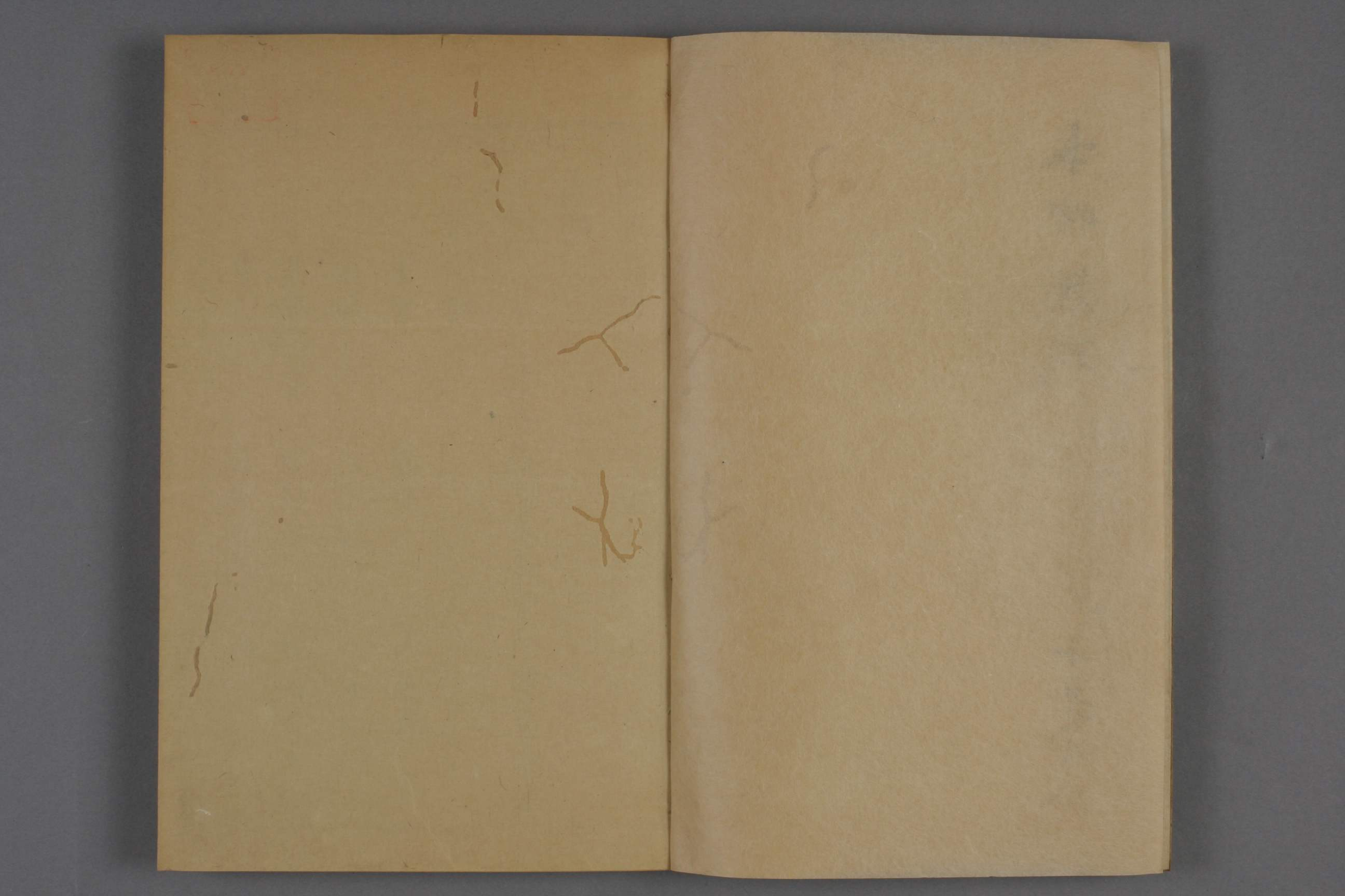 神农本草疏明代天启五年ya09_00173_00109.pdf 第3页