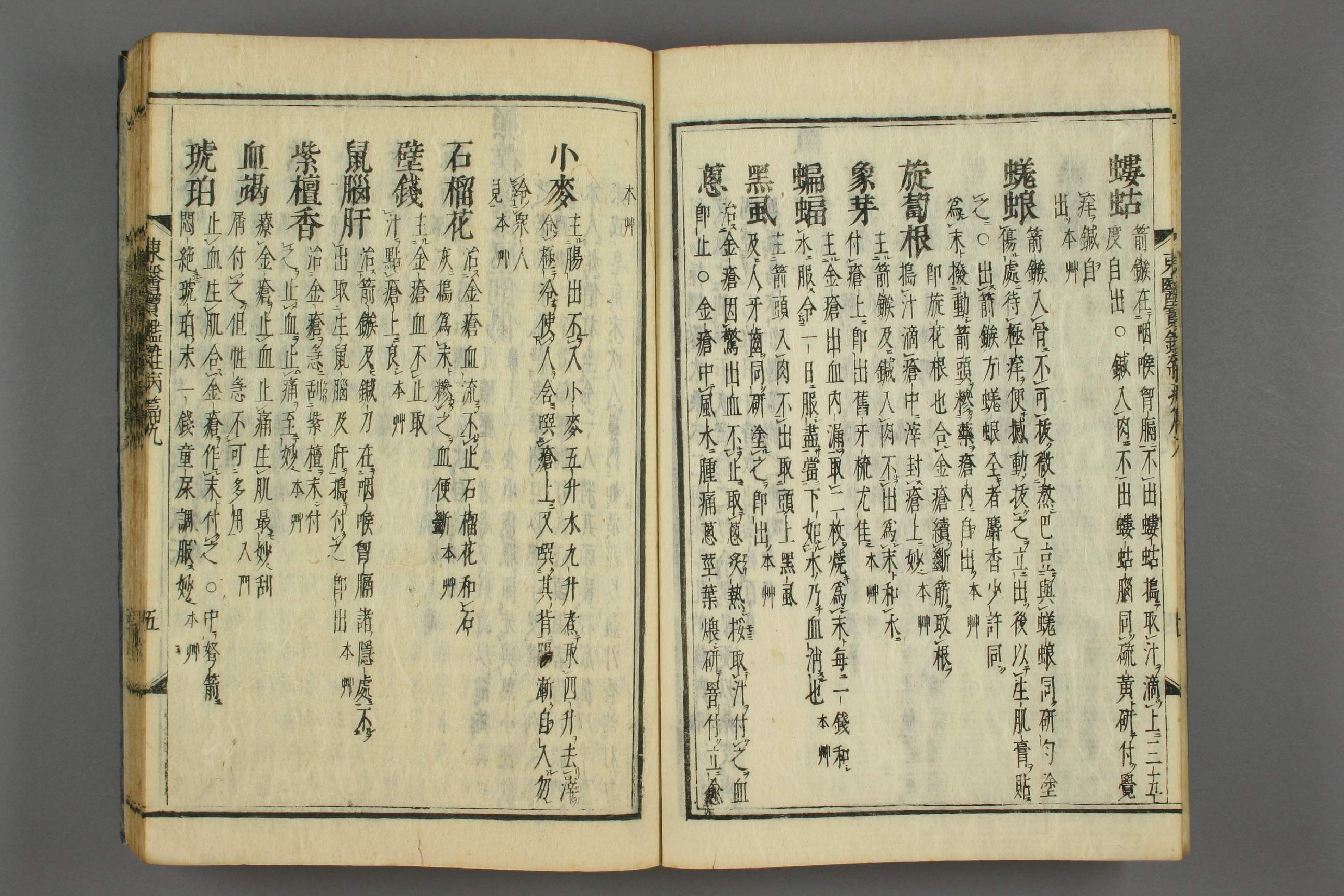 订正东医宝鉴卷十七.pdf 第6页