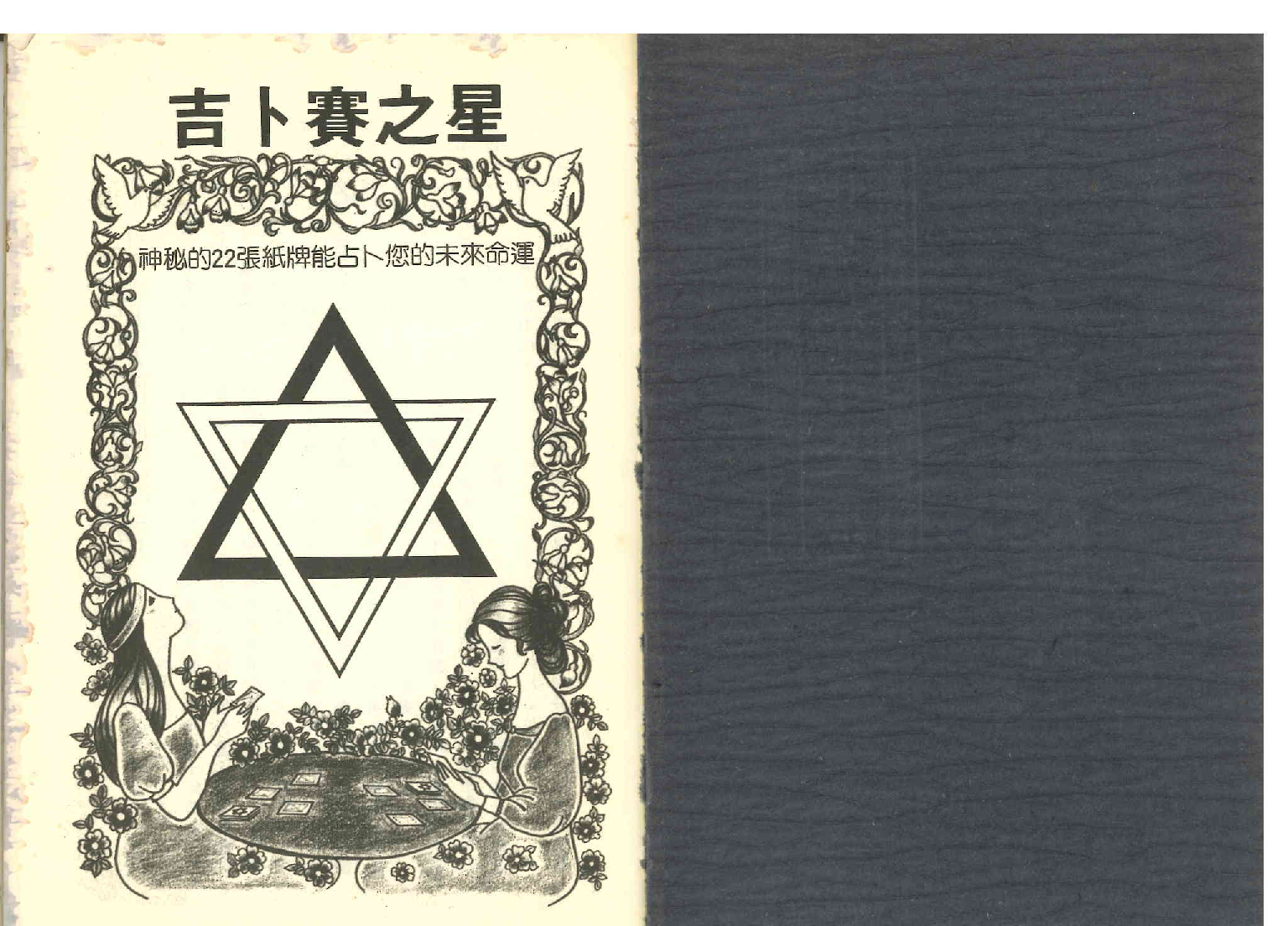 《世界相命全集》06 吉普赛魔牌.pdf 第2页