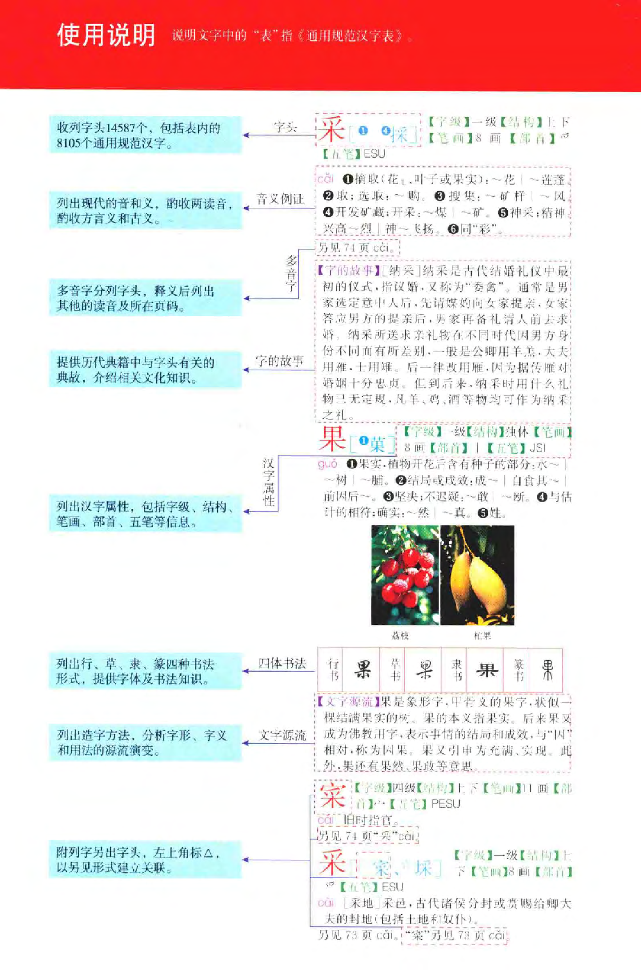 新华大字典-彩色本.pdf 第5页