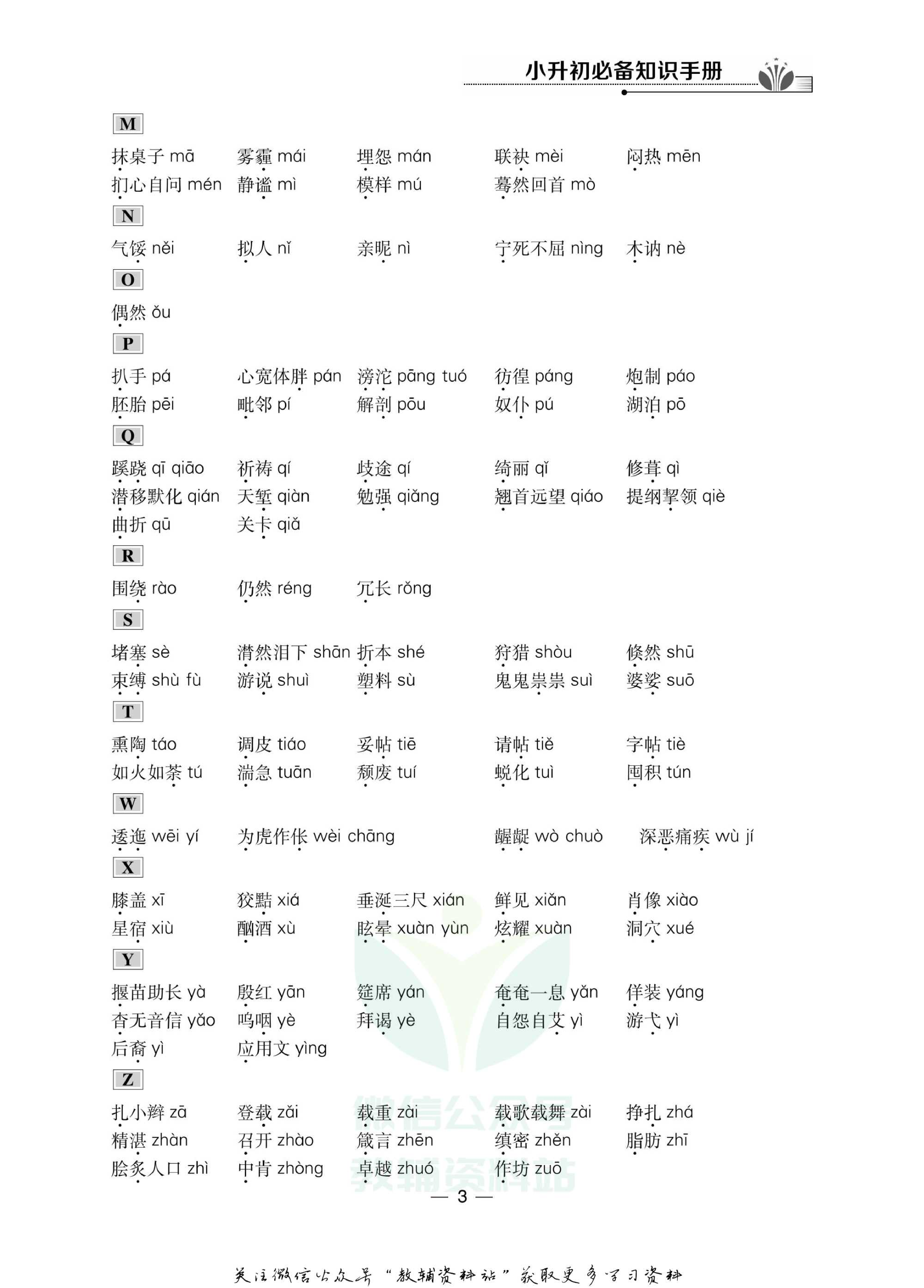 小升初必备知识手册语文.pdf 第4页