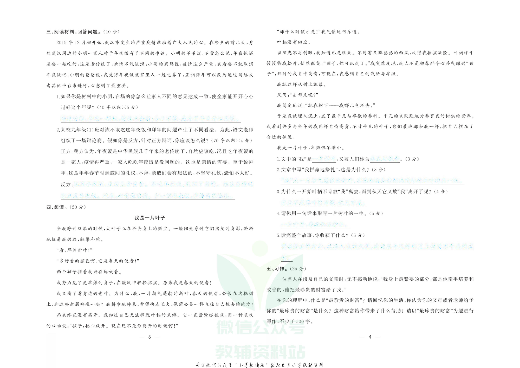 《小升初强化模拟训练》语文去答案版.pdf 第5页