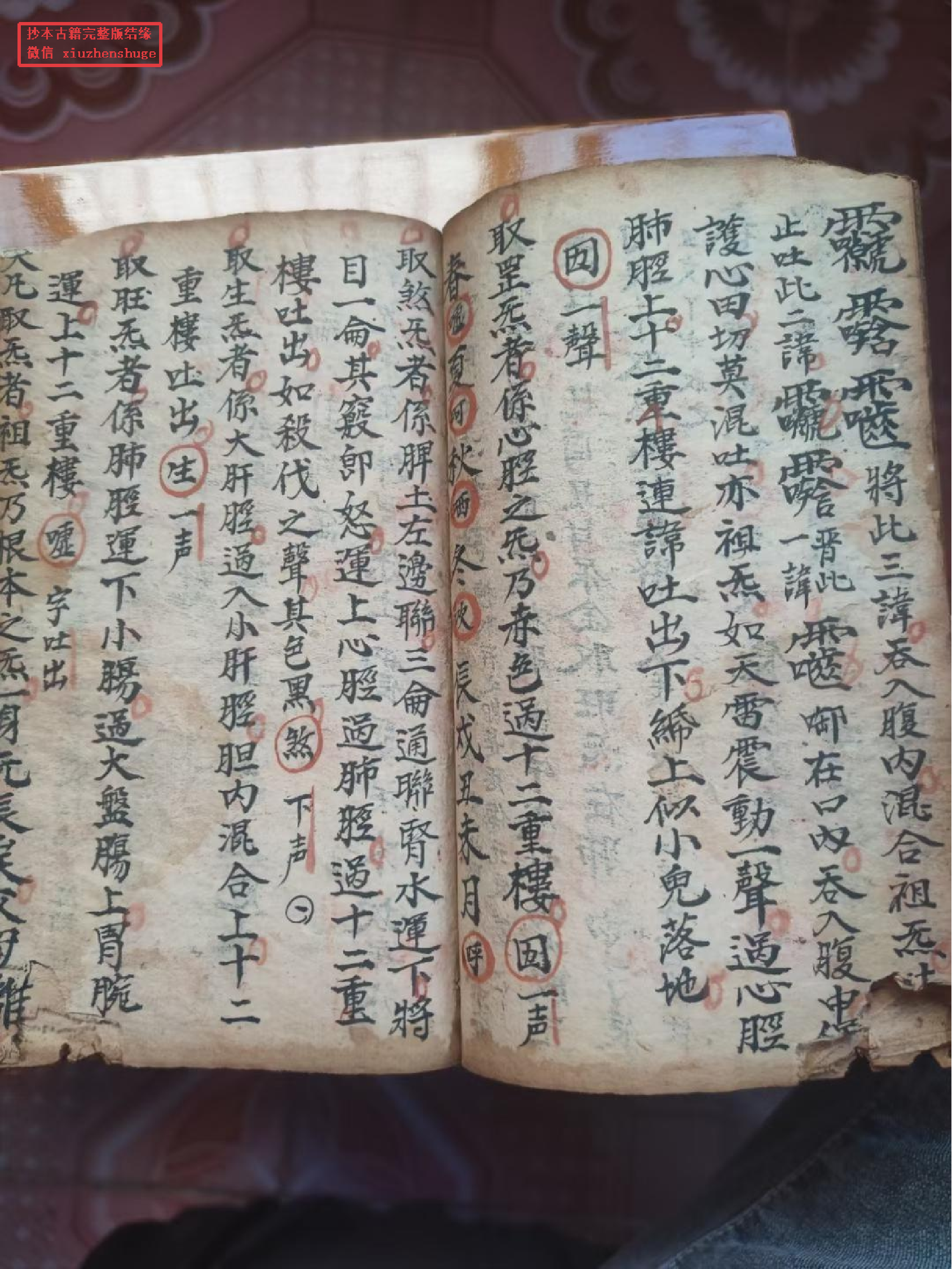 《灵宝醮奏秘旨》96页面.pdf 第5页