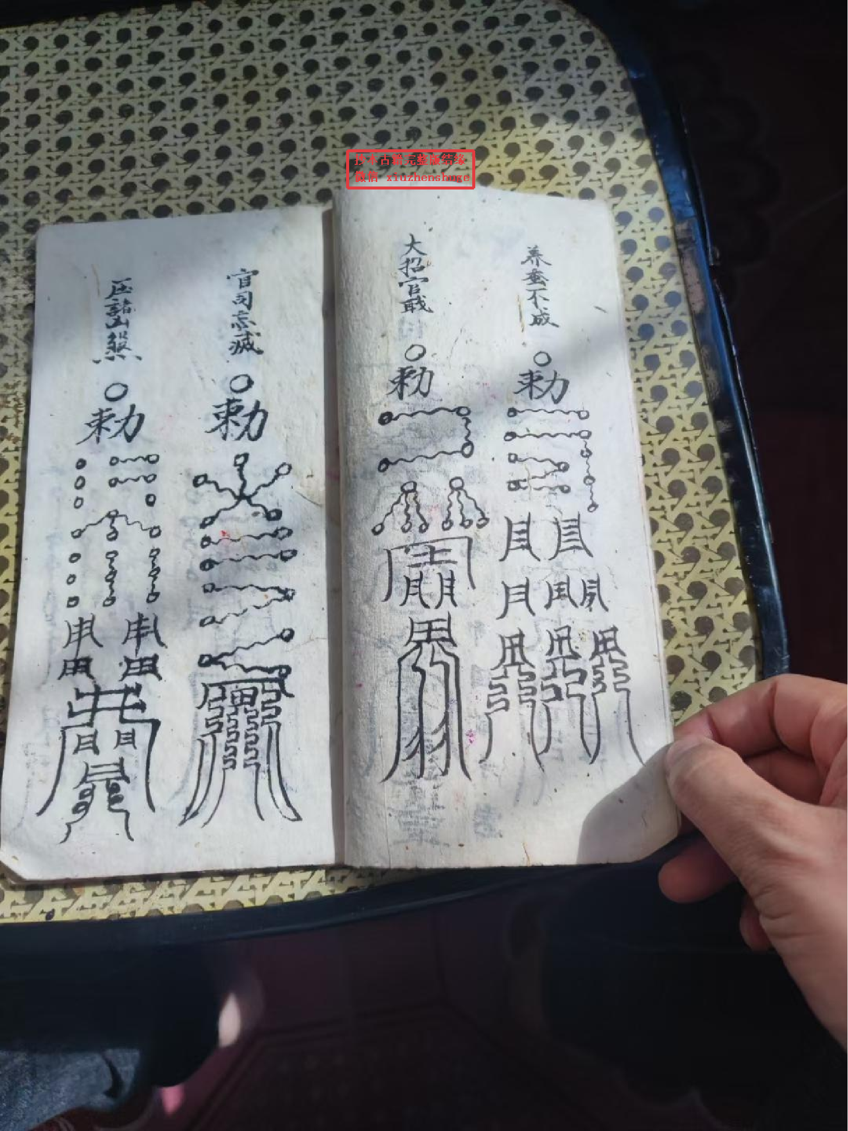 《百解灵符科》36页面.pdf 第5页