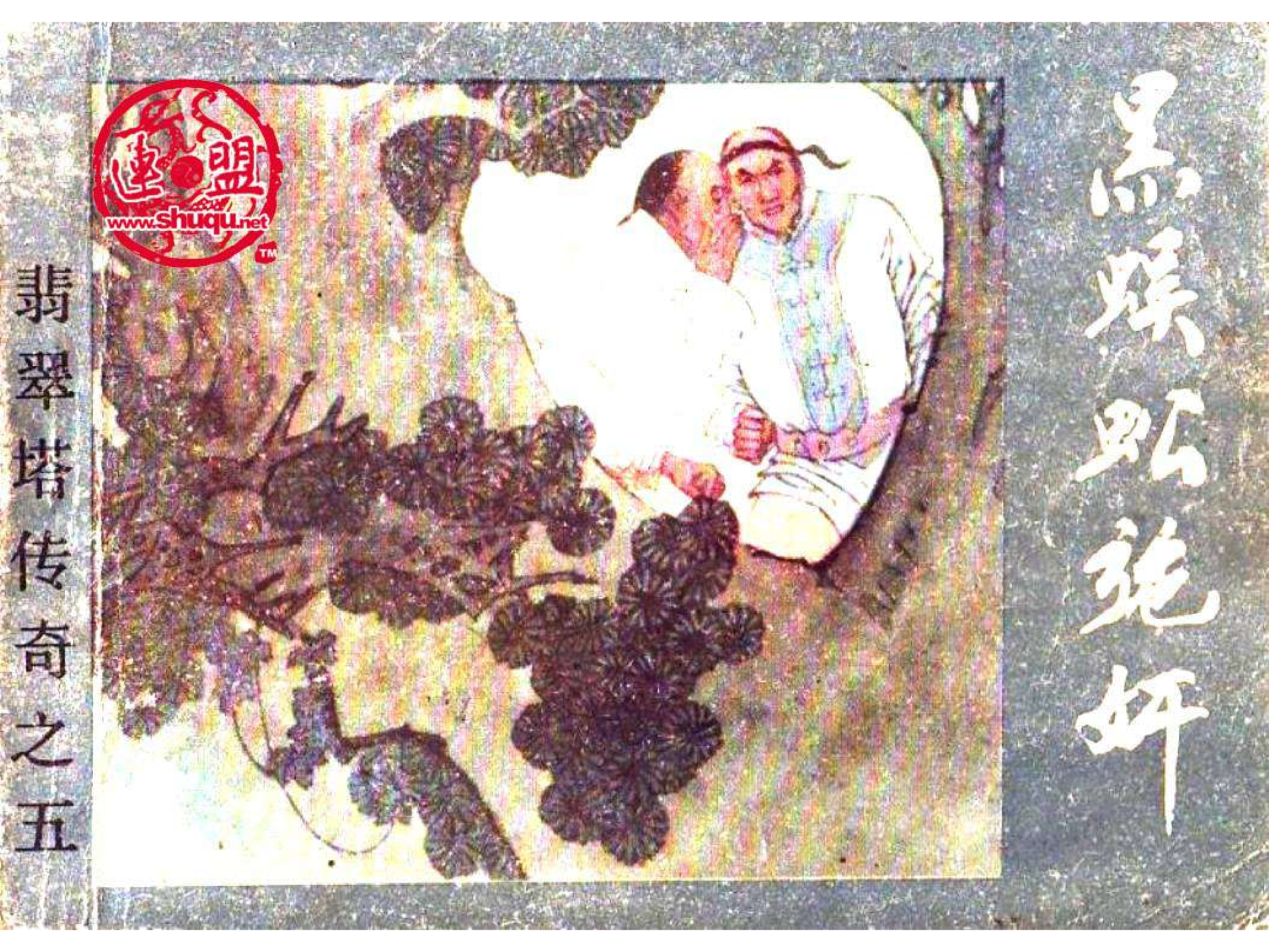 翡翠塔传奇05黑蜈蚣施奸.pdf 第1页