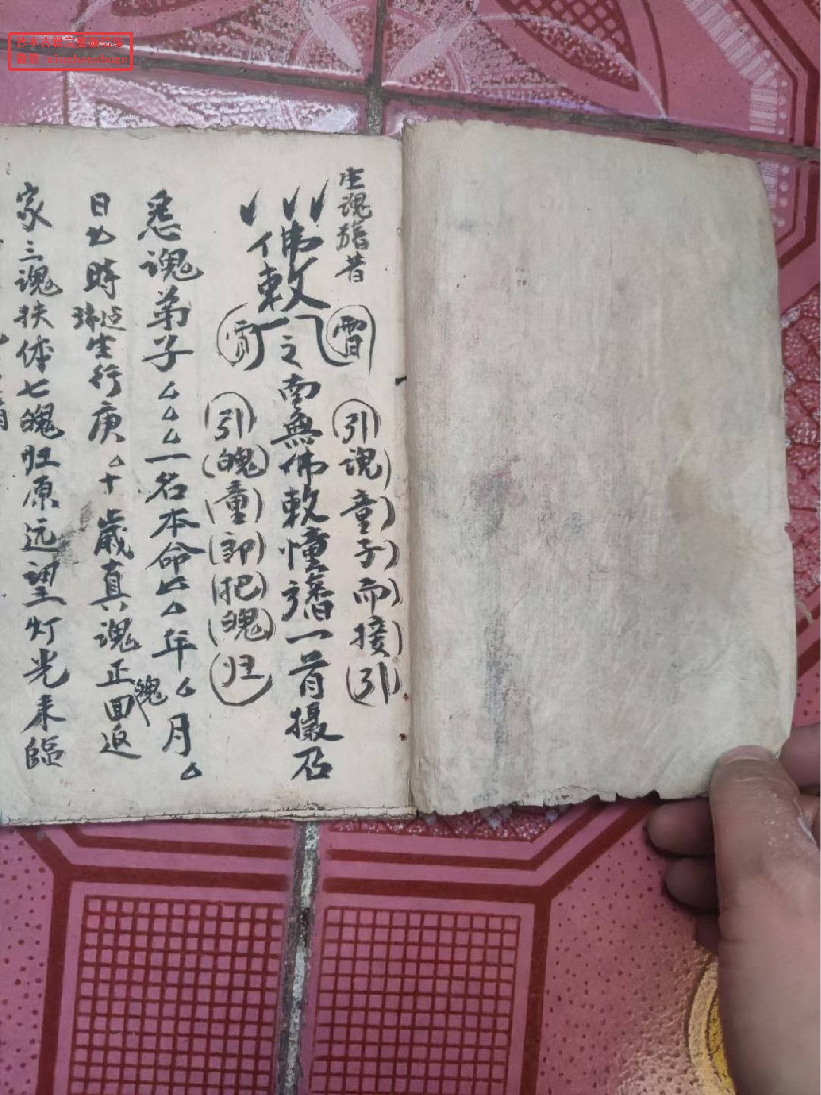 召生魂，开光等 30页面.pdf 第2页