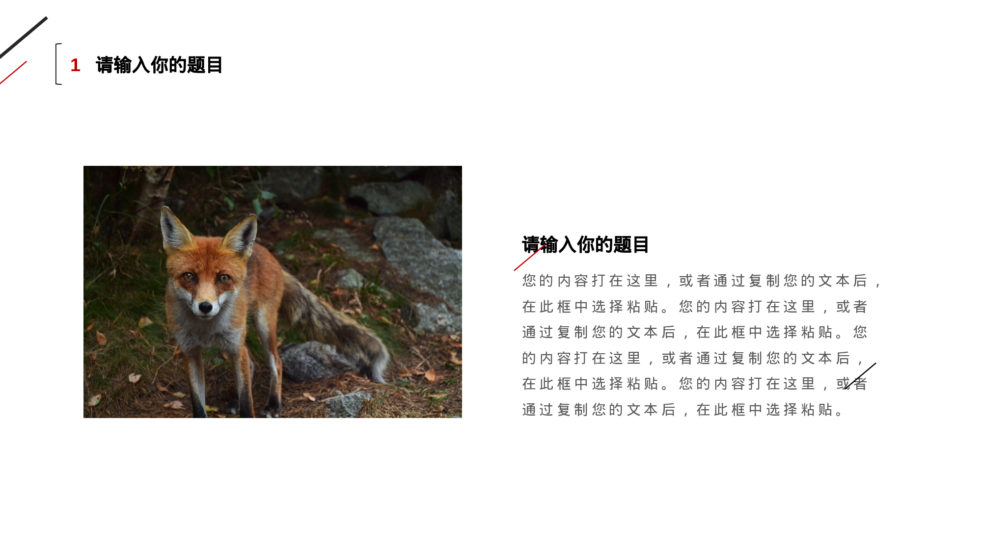 68商务风模板.pptx 第4页