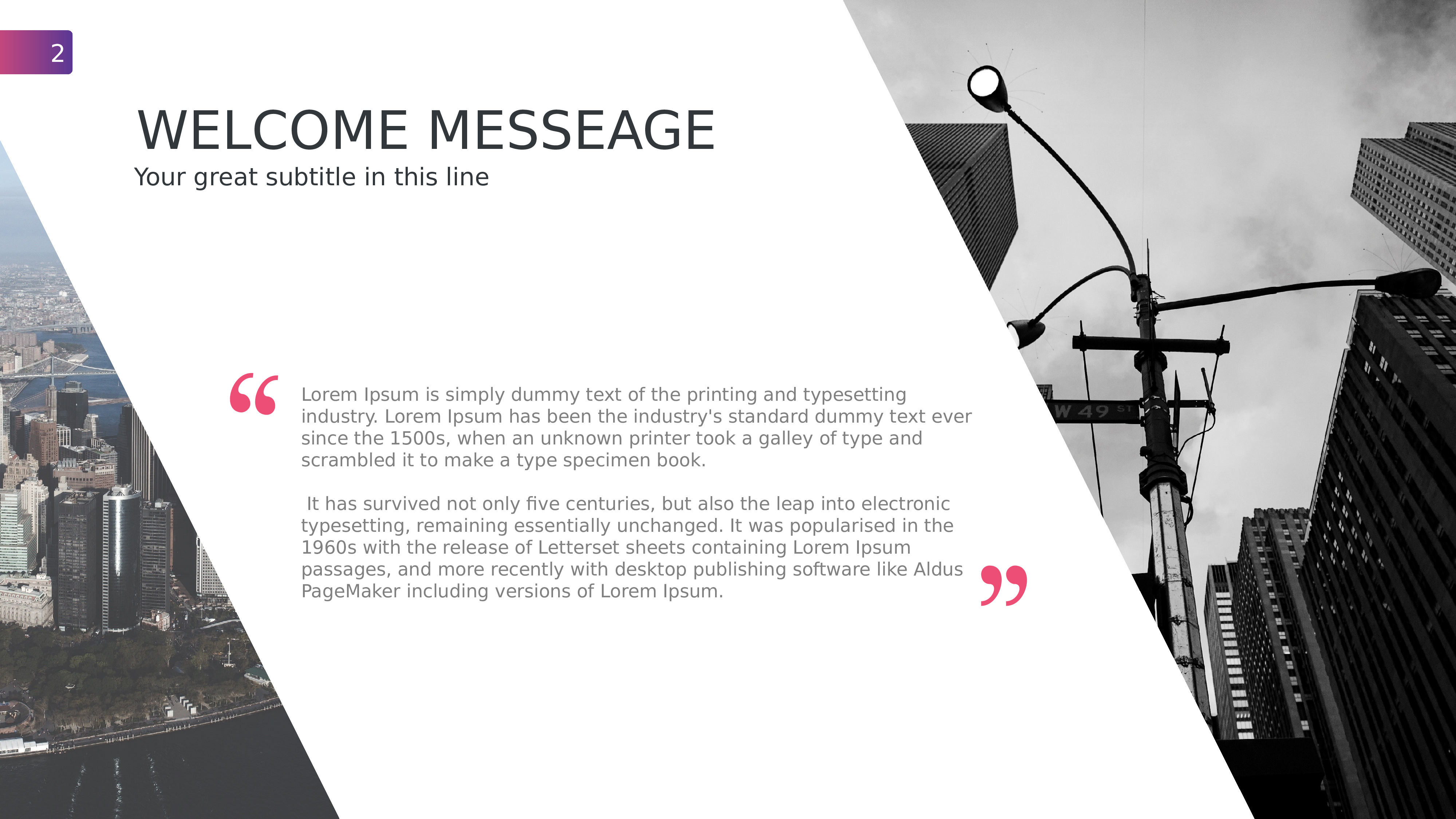 41商务风模板.pptx 第2页