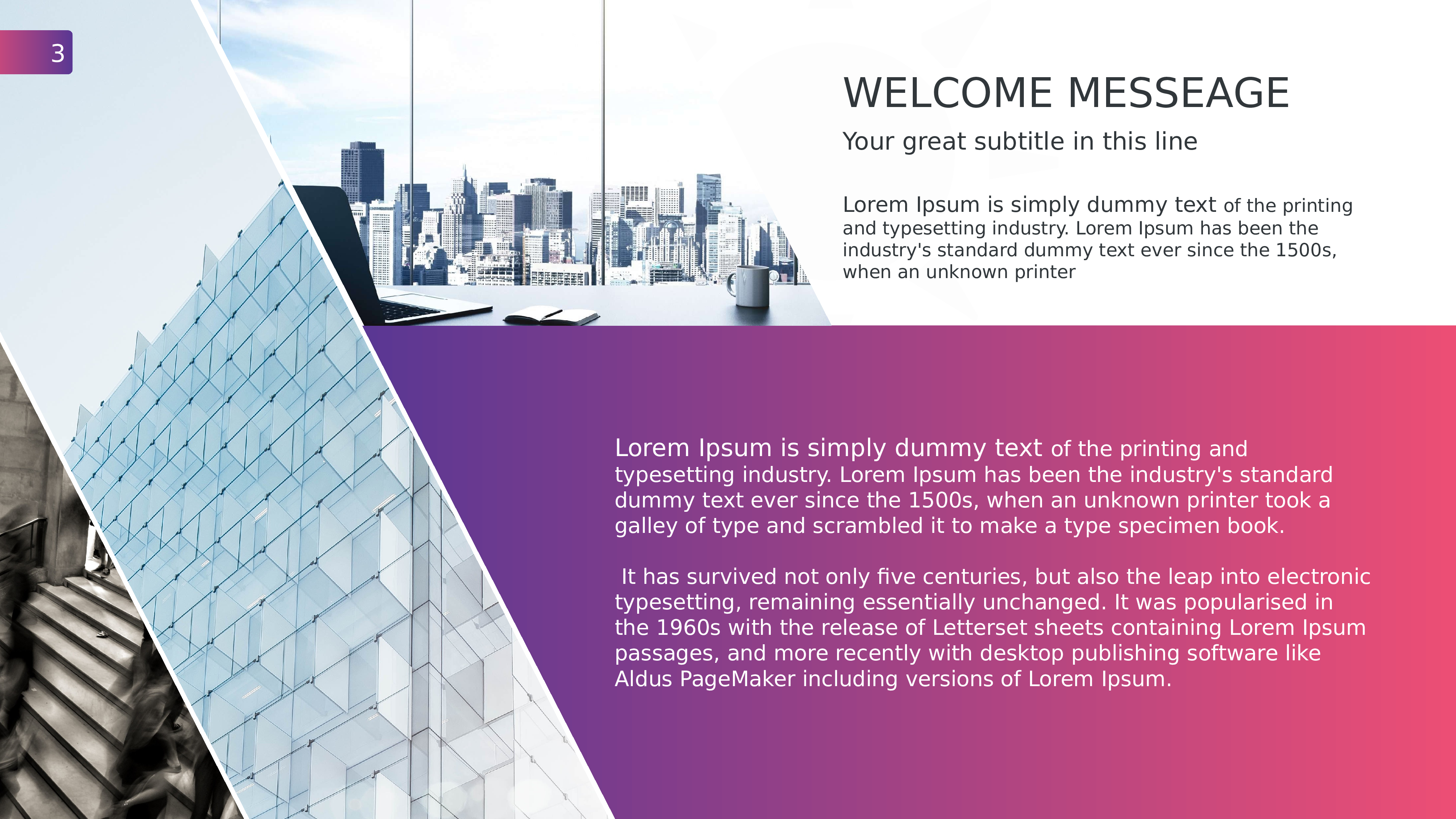 41商务风模板.pptx 第3页