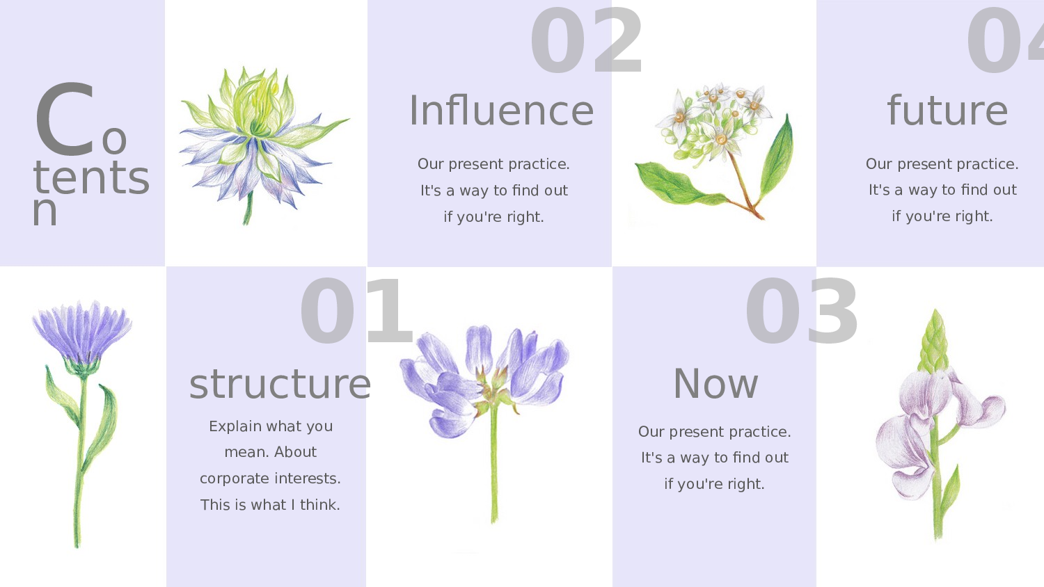 17.手绘风格007.pptx 第2页