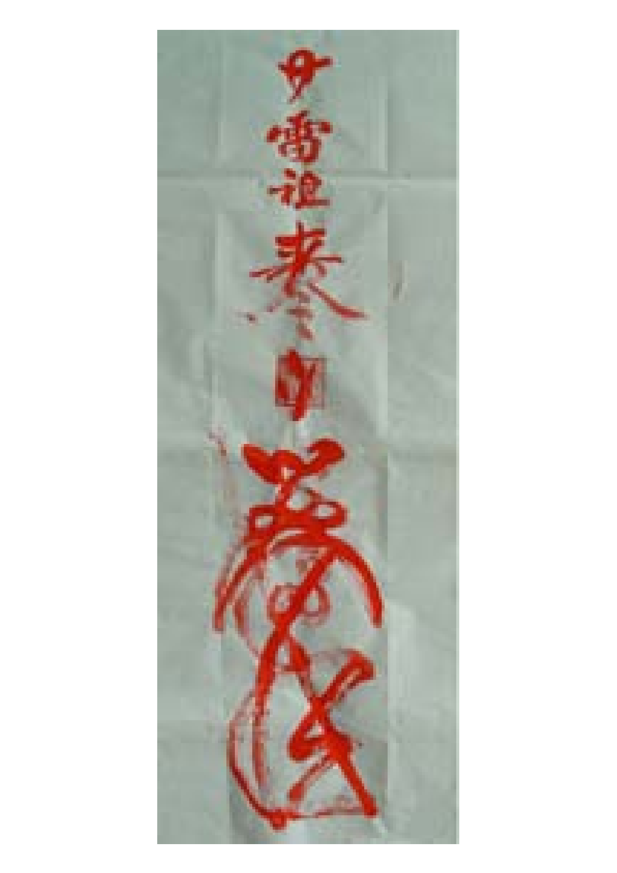 飞捷使者张元帅符.pdf 第1页