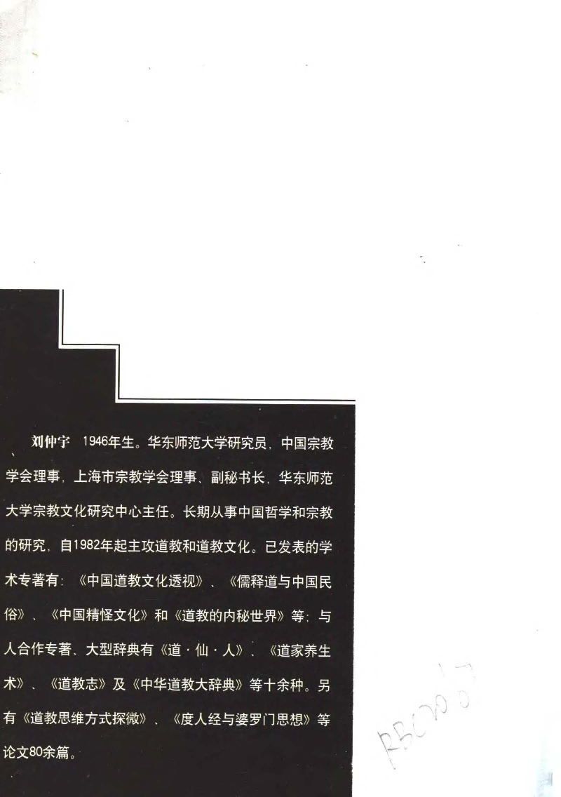 【道家文化研究丛书】道教法术刘仲宇.pdf 第4页