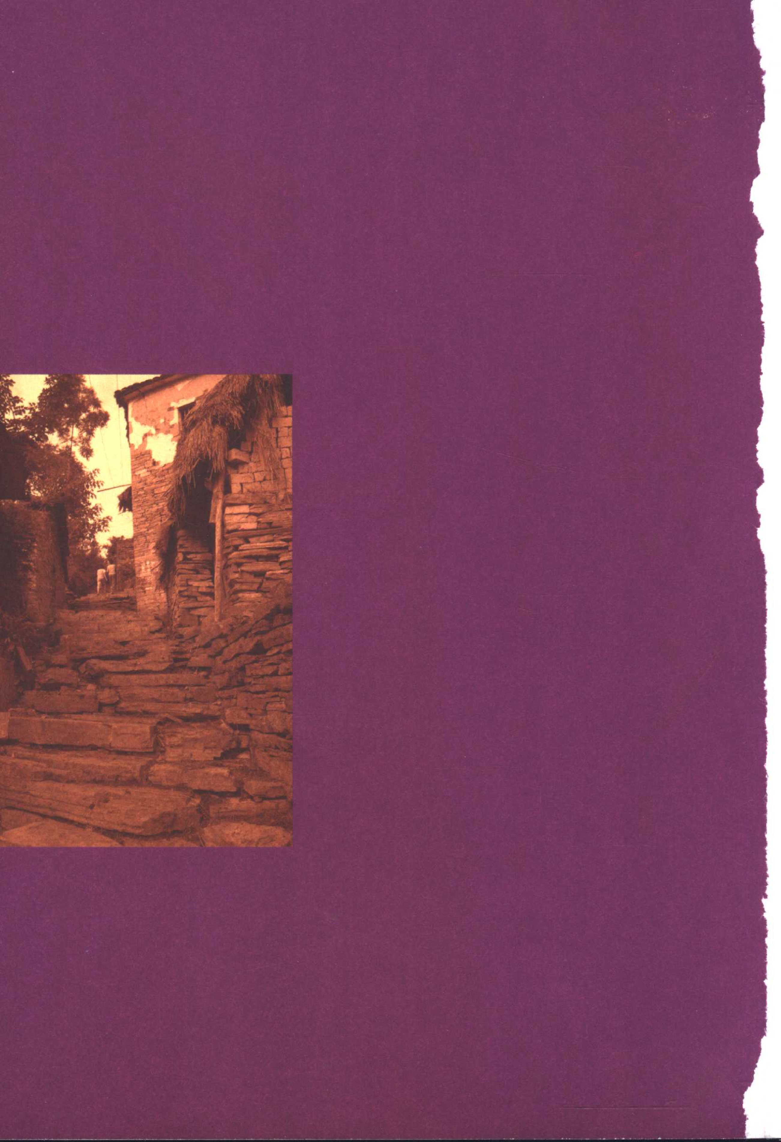 湘西巫蛊.pdf 第5页