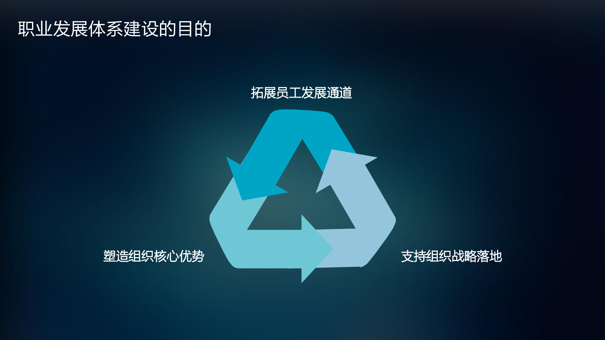 13 华为职业发展体系建设实践与标杆对比.pdf 第3页