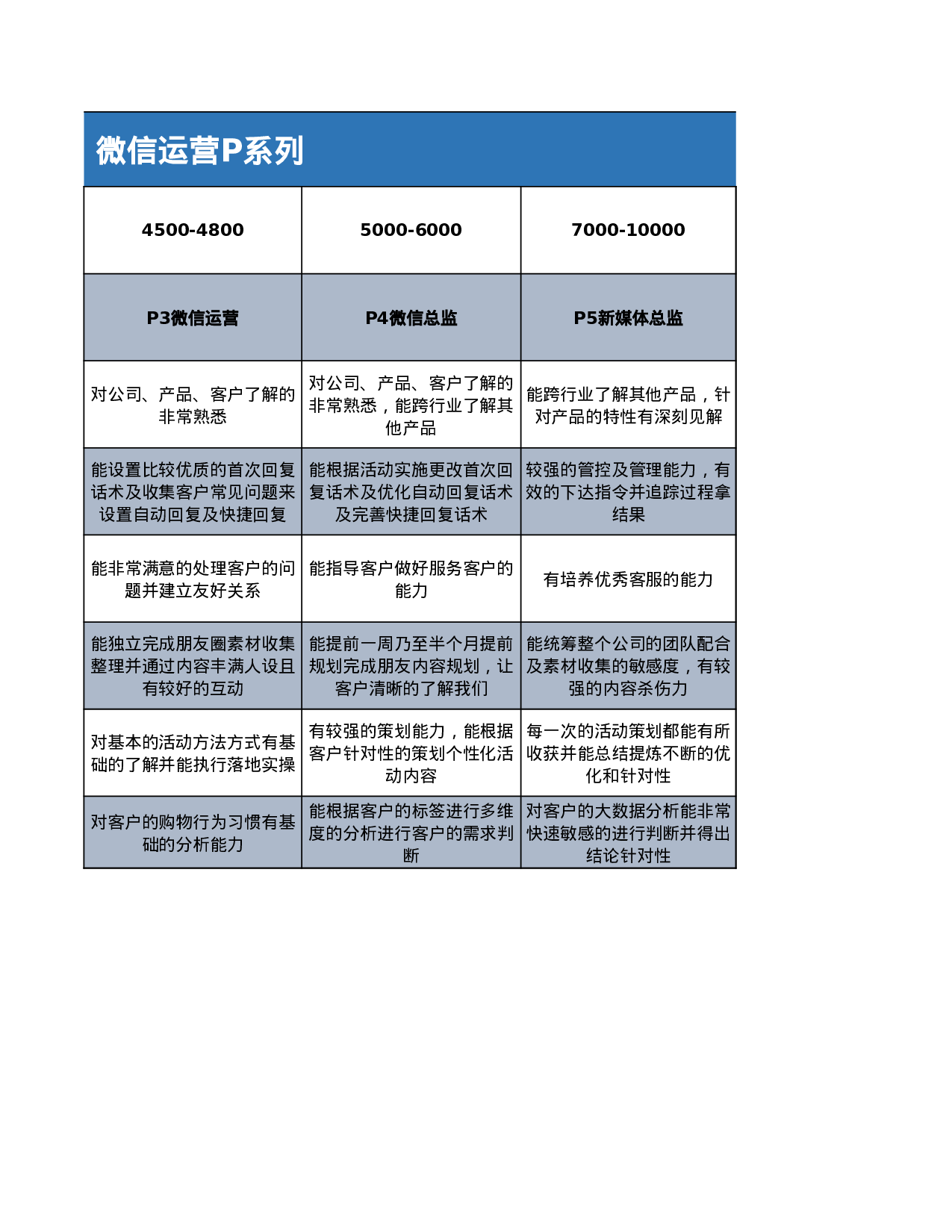 电商类私域运营SOP落地方案.xlsx 第2页