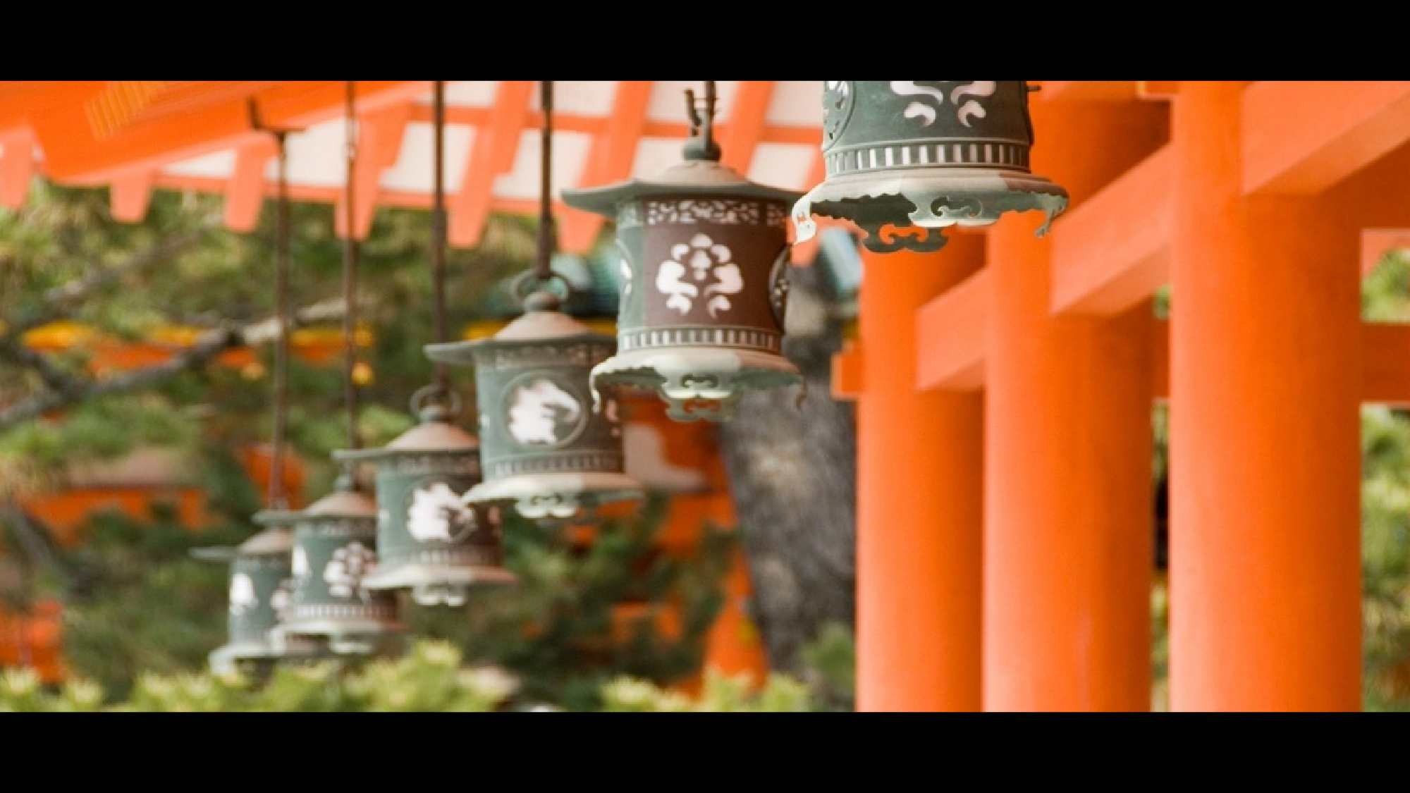 72快闪-旅游相册.pptx 第6页