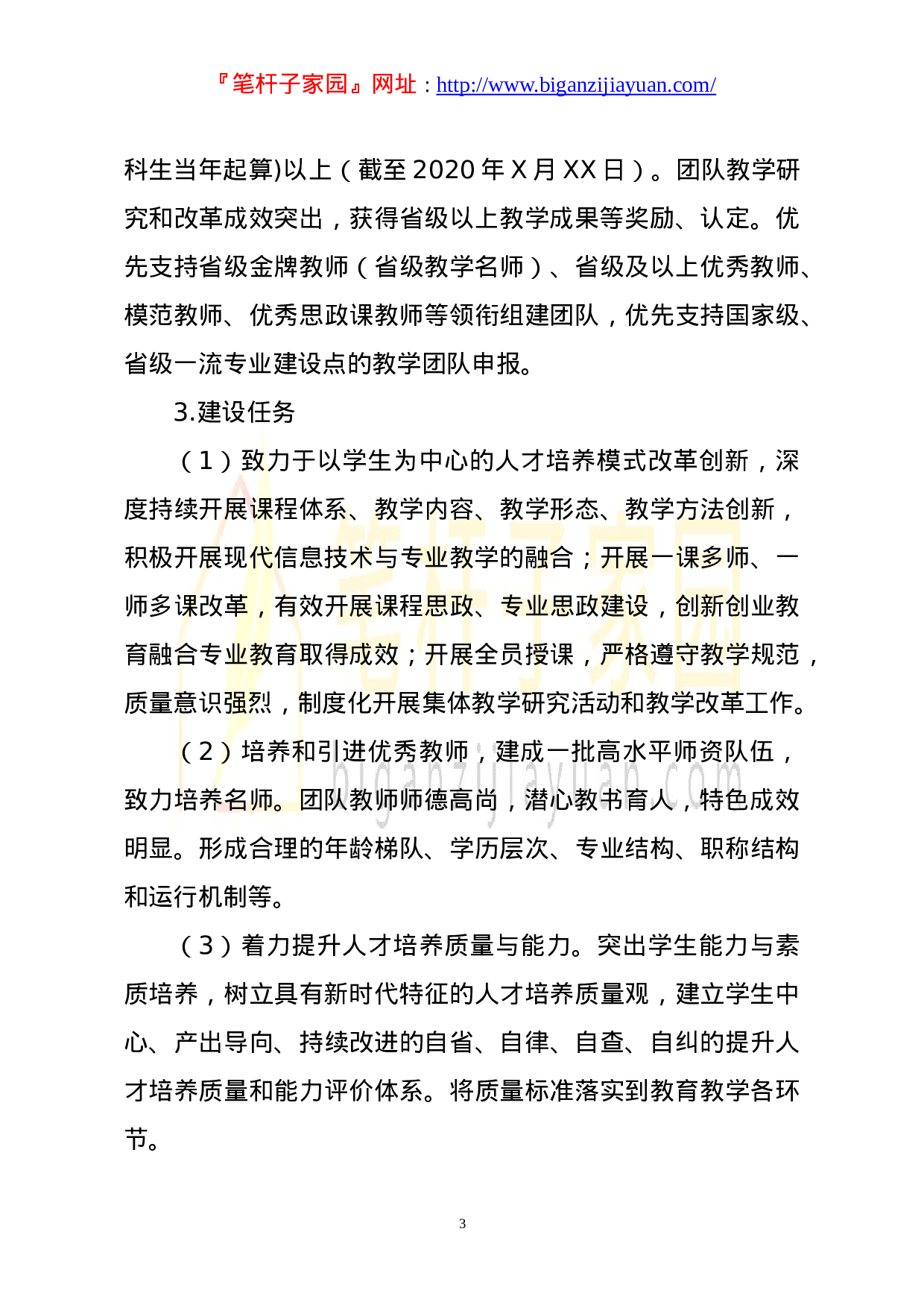 13458【高水平本科教学团队建设方案.doc 第3页