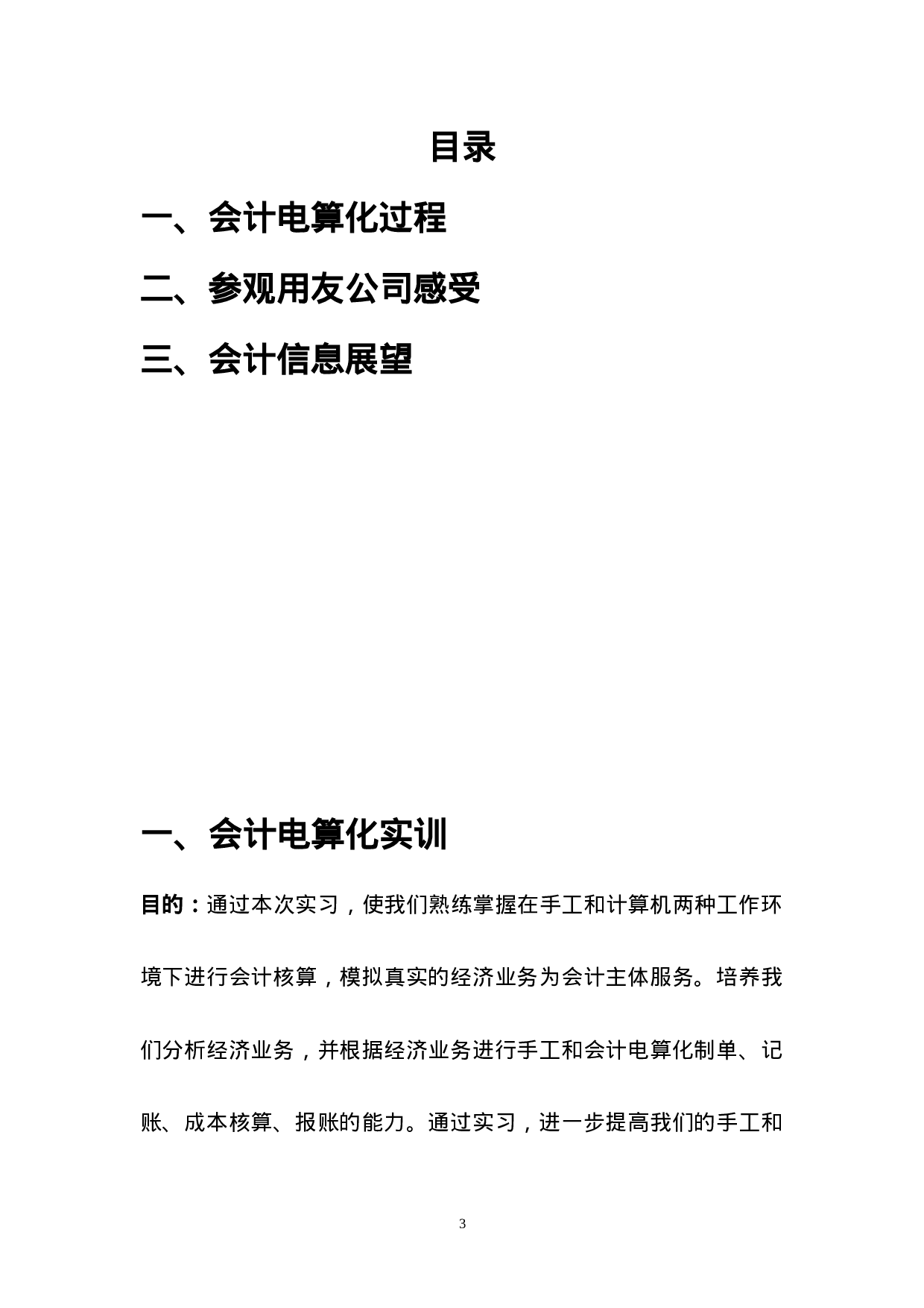 实习报告——上海工程技术大学会计实训报告.doc 第3页