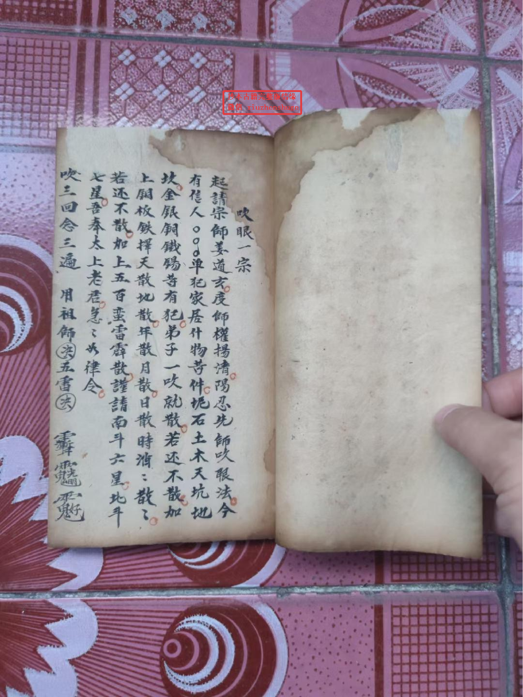 《师传万法一宗》46页面.pdf 第2页