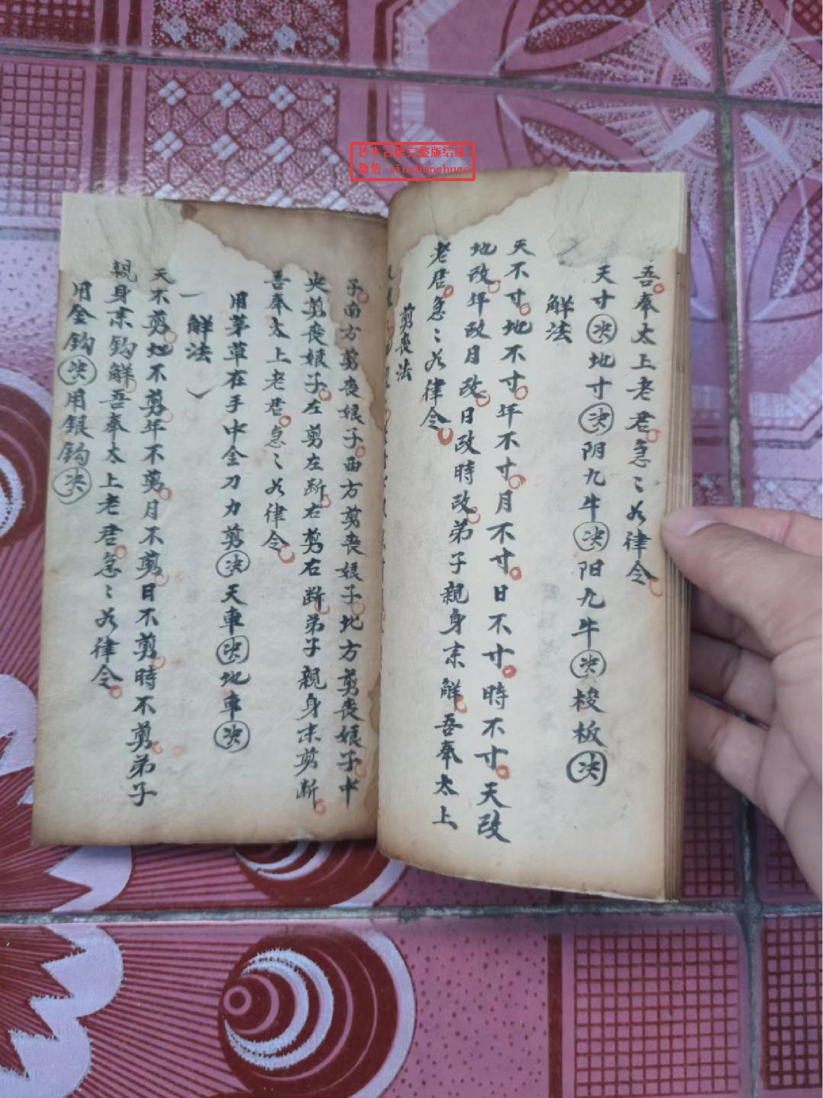 《师传万法一宗》46页面.pdf 第6页