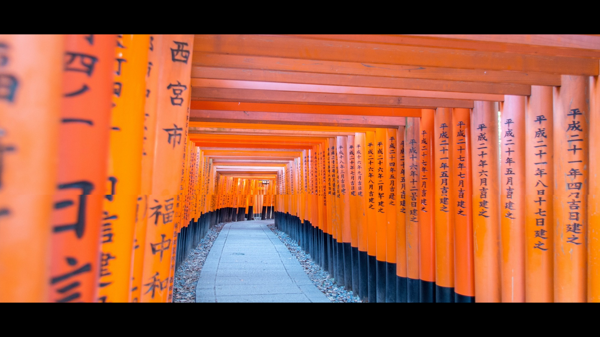 【编号30】东京旅游酷炫图文快闪动画通用PPT模板.pptx 第3页