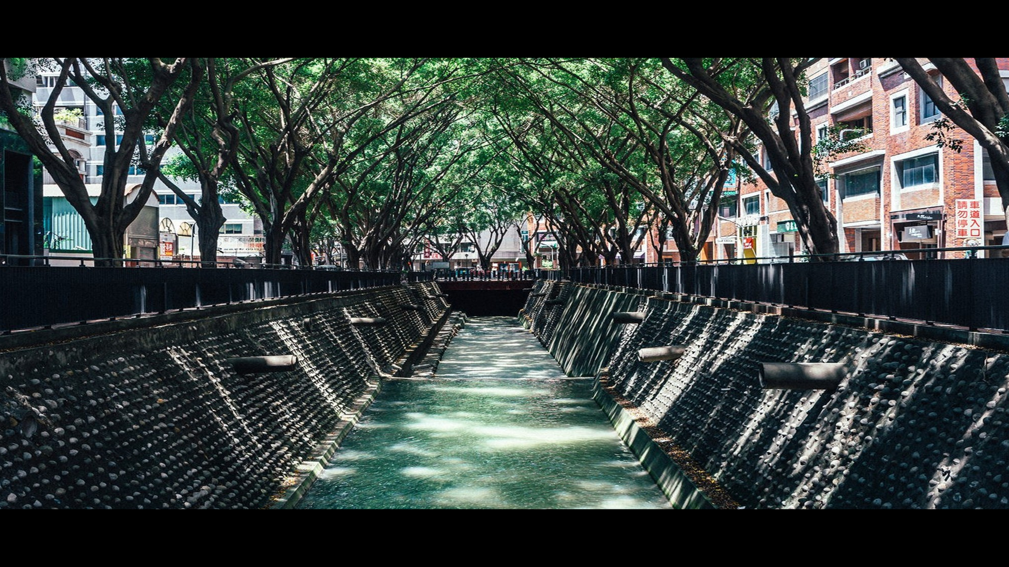 【编号30】东京旅游酷炫图文快闪动画通用PPT模板.pptx 第5页